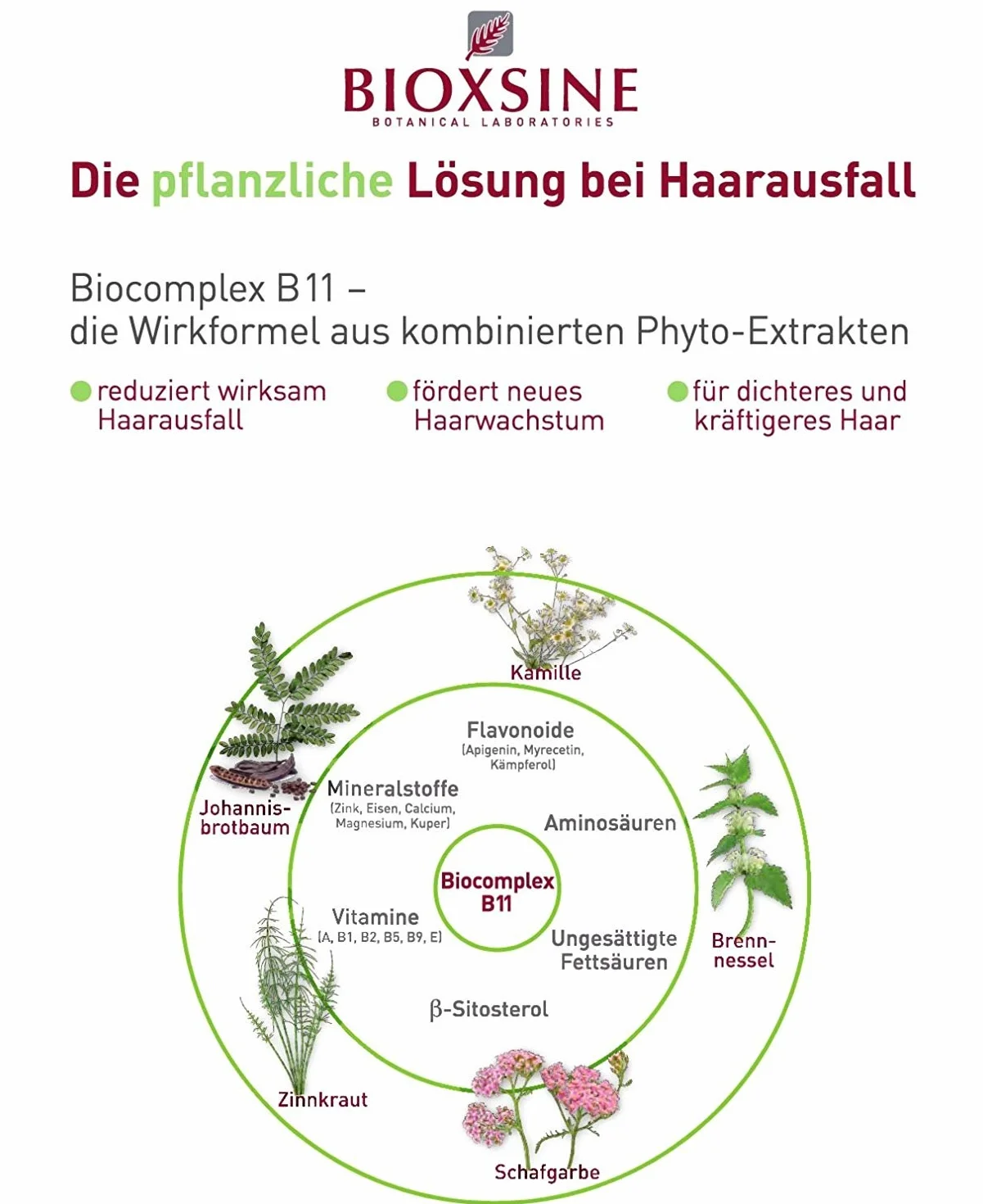 Bioxine szampon do normalnych i suchych włosów – przeciw wypadaniu włosów kobiet i mężczyzn | z roślinnym środkiem do mycia włosów przyspiesza wzrost włosów 100 ml