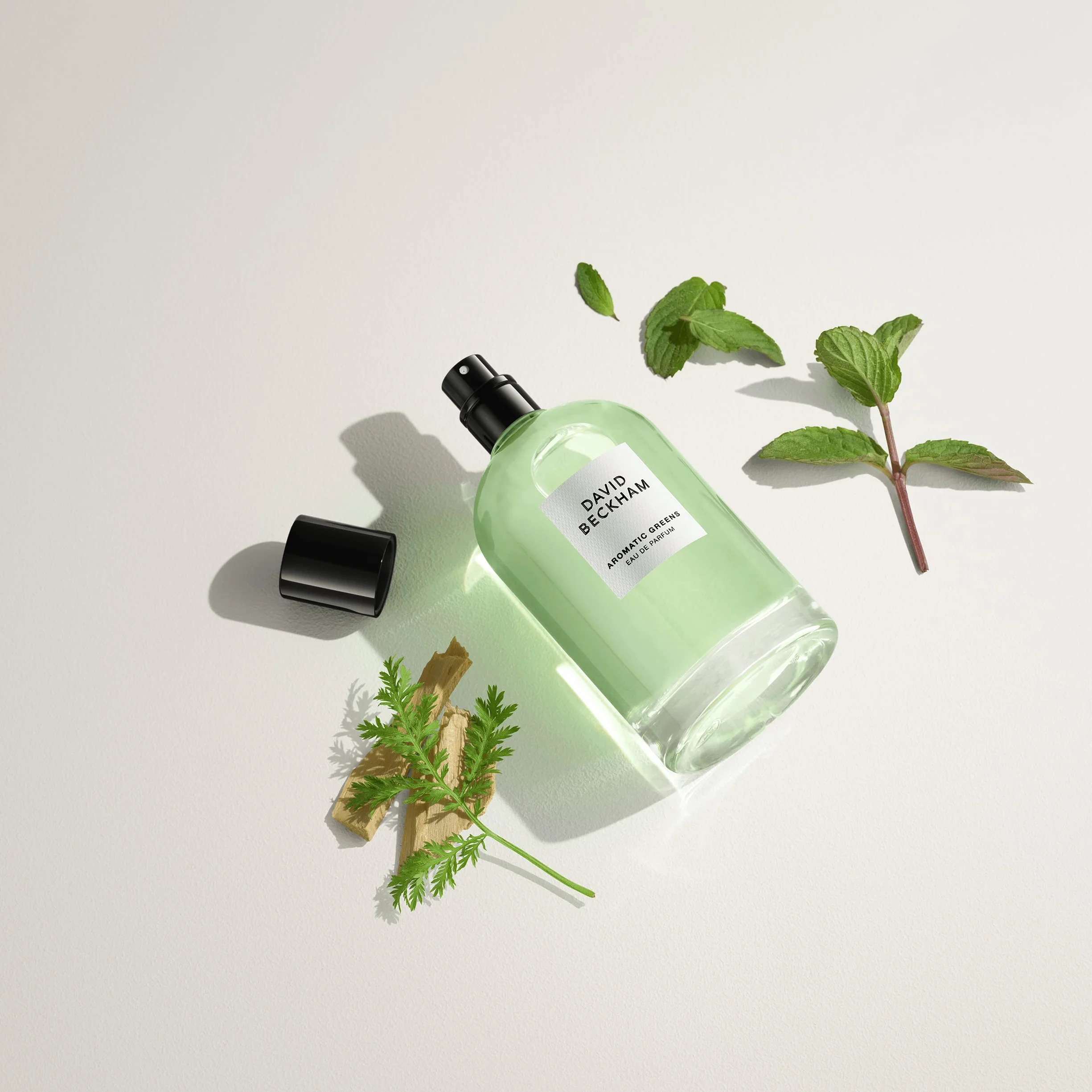 David Beckham Aromatic Greens Woda Perfumowana, 100 ml