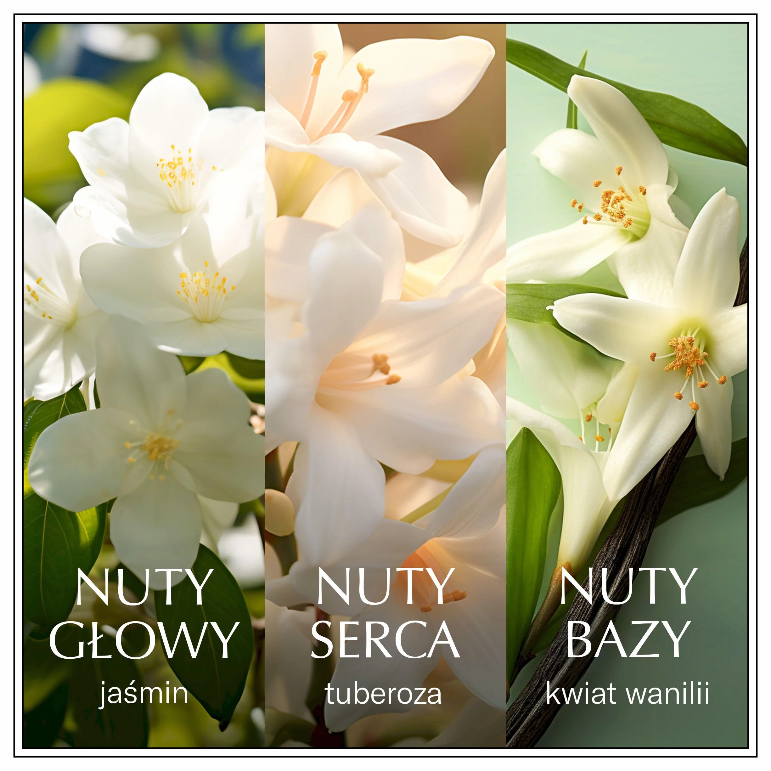 Chanson d’Eau Jasmine woda toaletowa dla kobiet o jaśminowym zapachu, 100 ml