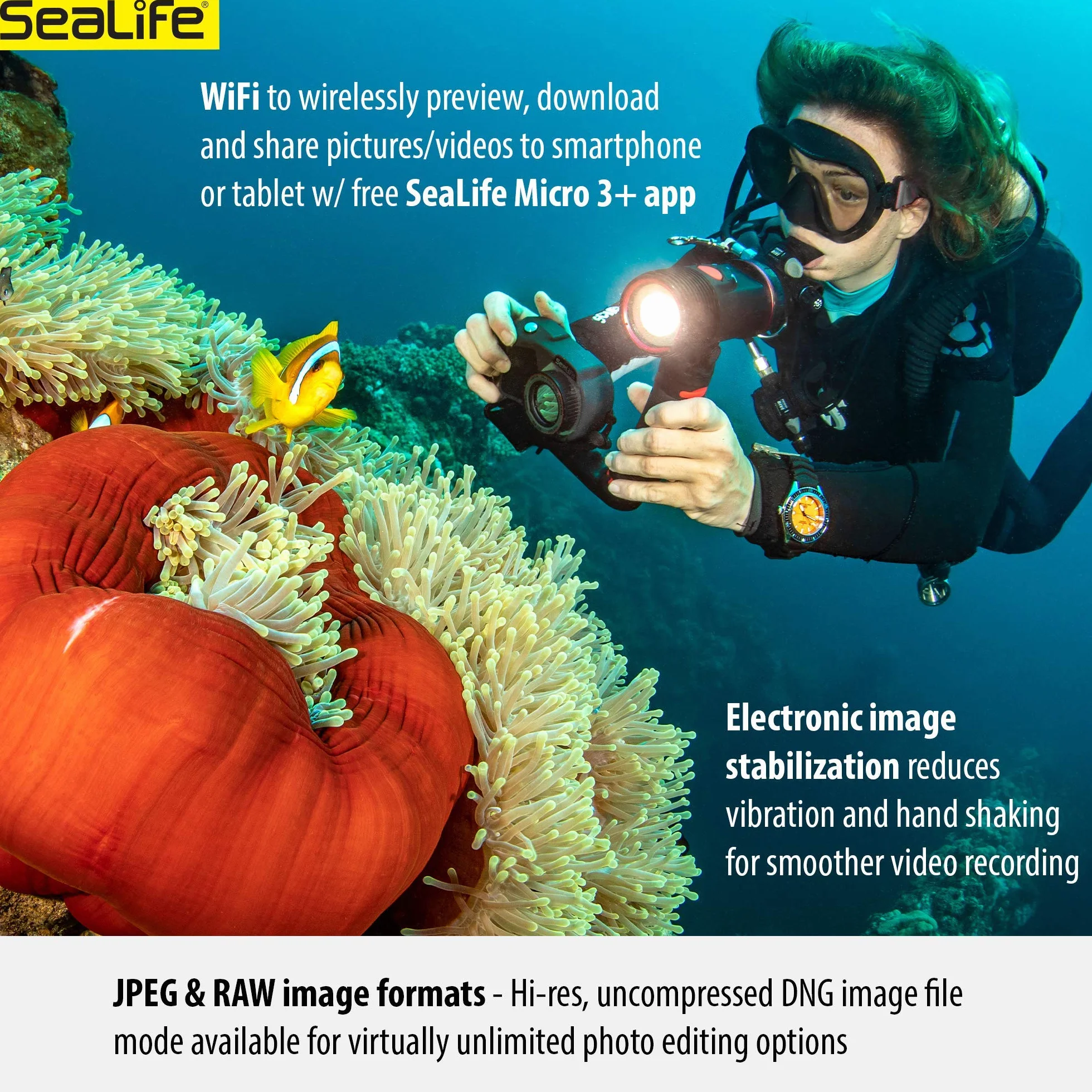Sealife Micro 3.0 64 GB