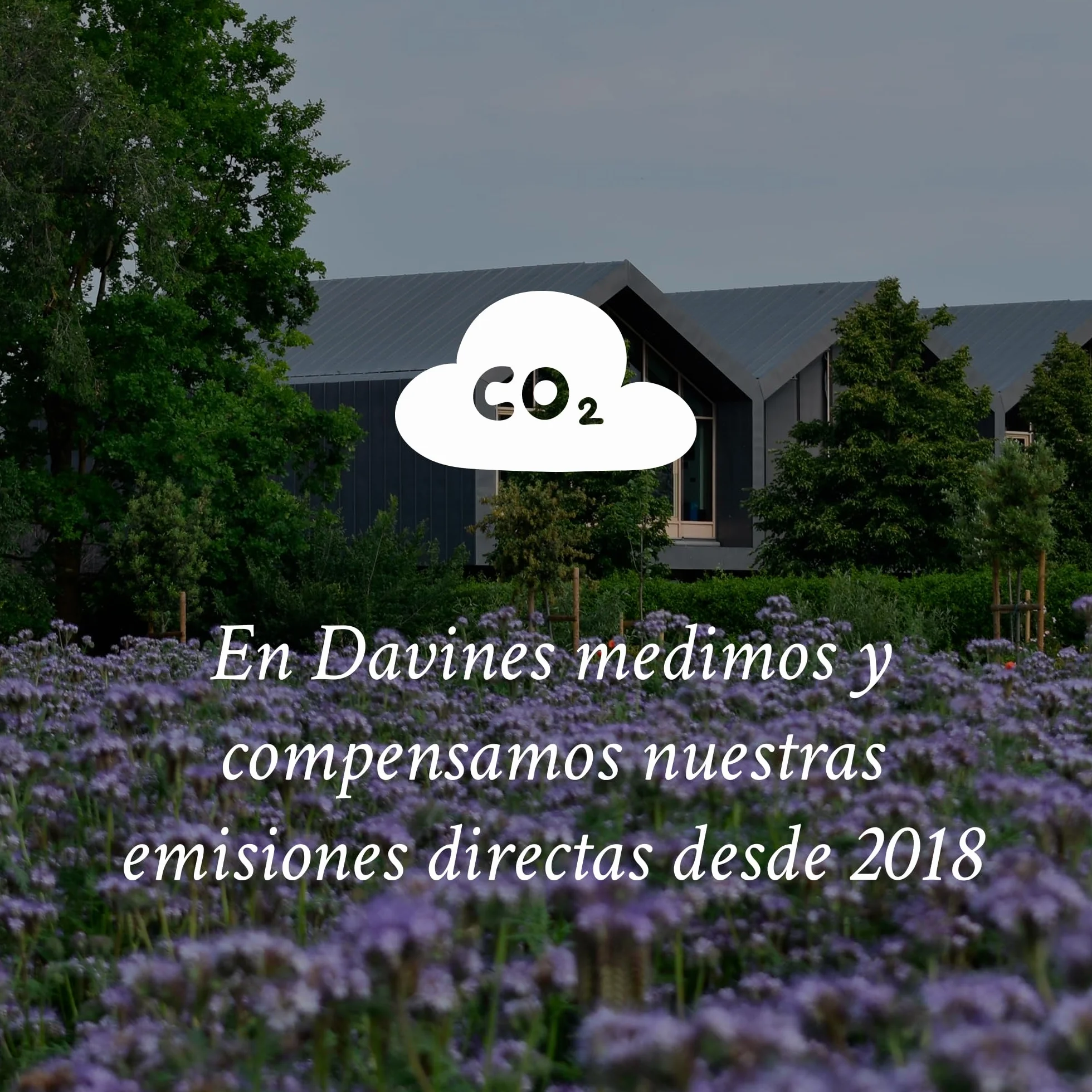 DAVINES Pudełko prezentowe do włosów 250 ml