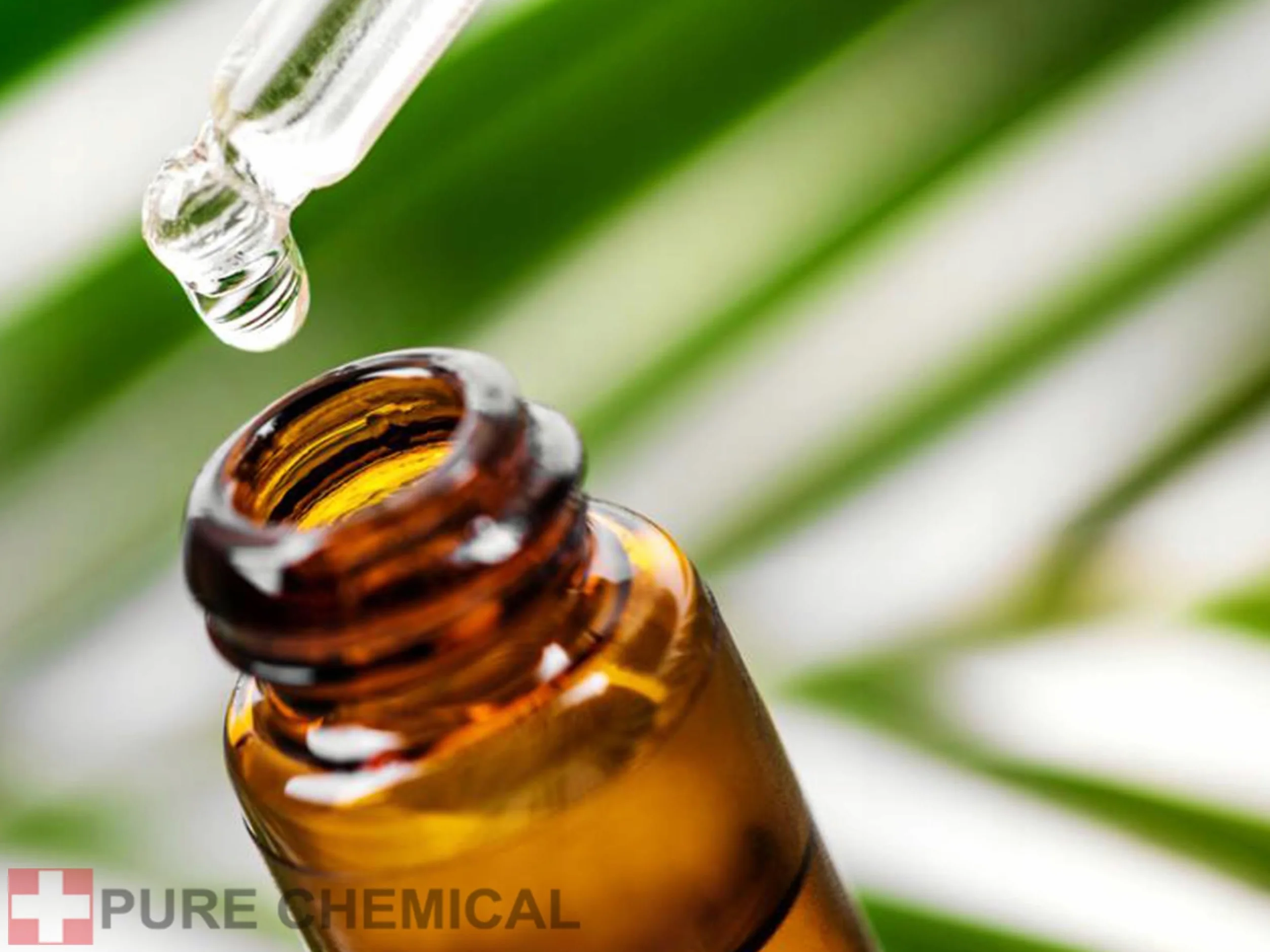 PURE CHEMICAL - Tsubaki Japoński Olej kameliowy 1L+Dozownik - Nierafinowany - Do twarzy włosów Oleje kosmetyczne - Olej kameliowy - Naturalny - Tłoczony na zimno (1L + dozownik)