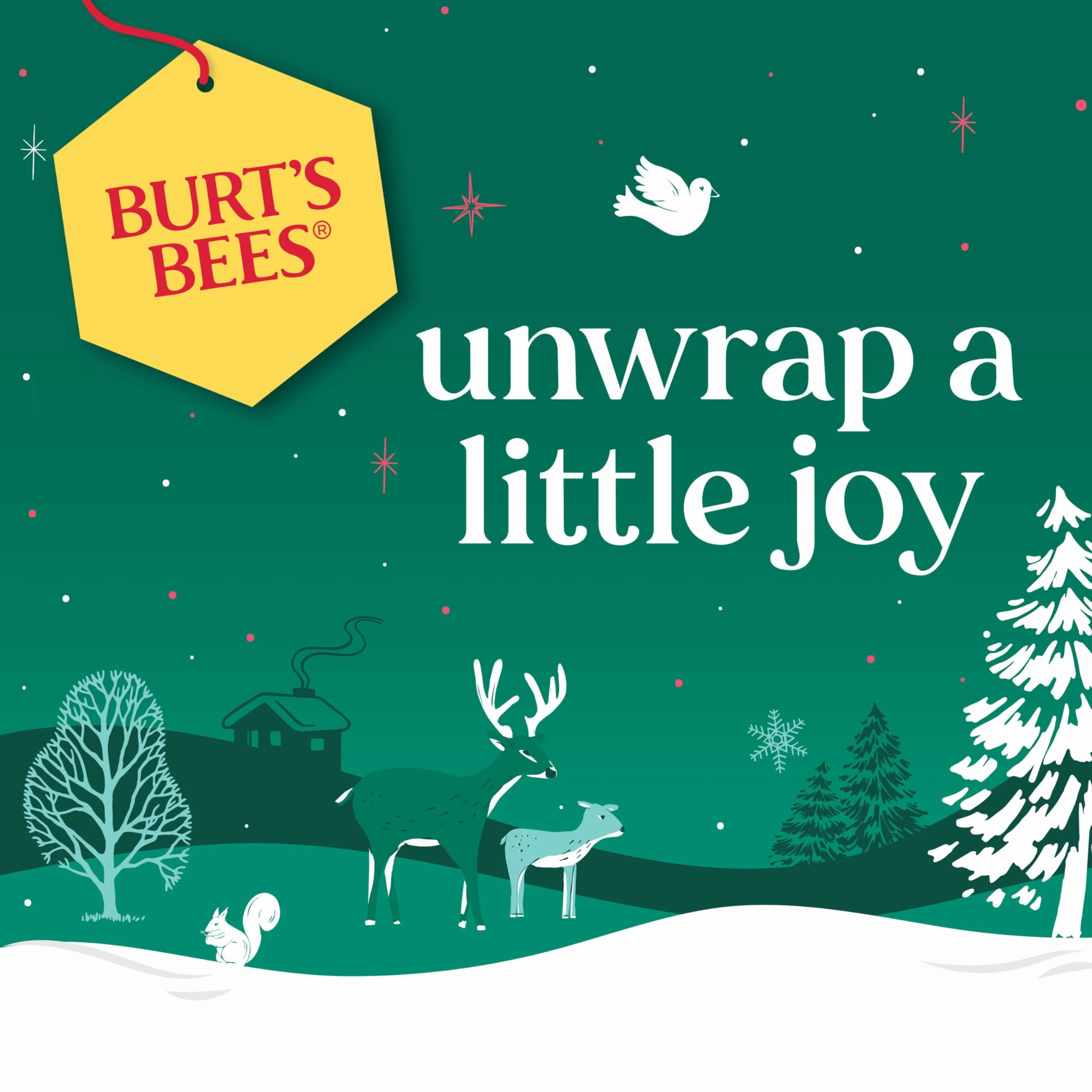 Burt's Bees Zestaw upominkowy do ust i ciała, balsam do ust z wosku pszczelego i mini mleczko i miodowy balsam do ciała, Hive Favorite Limited Edition
