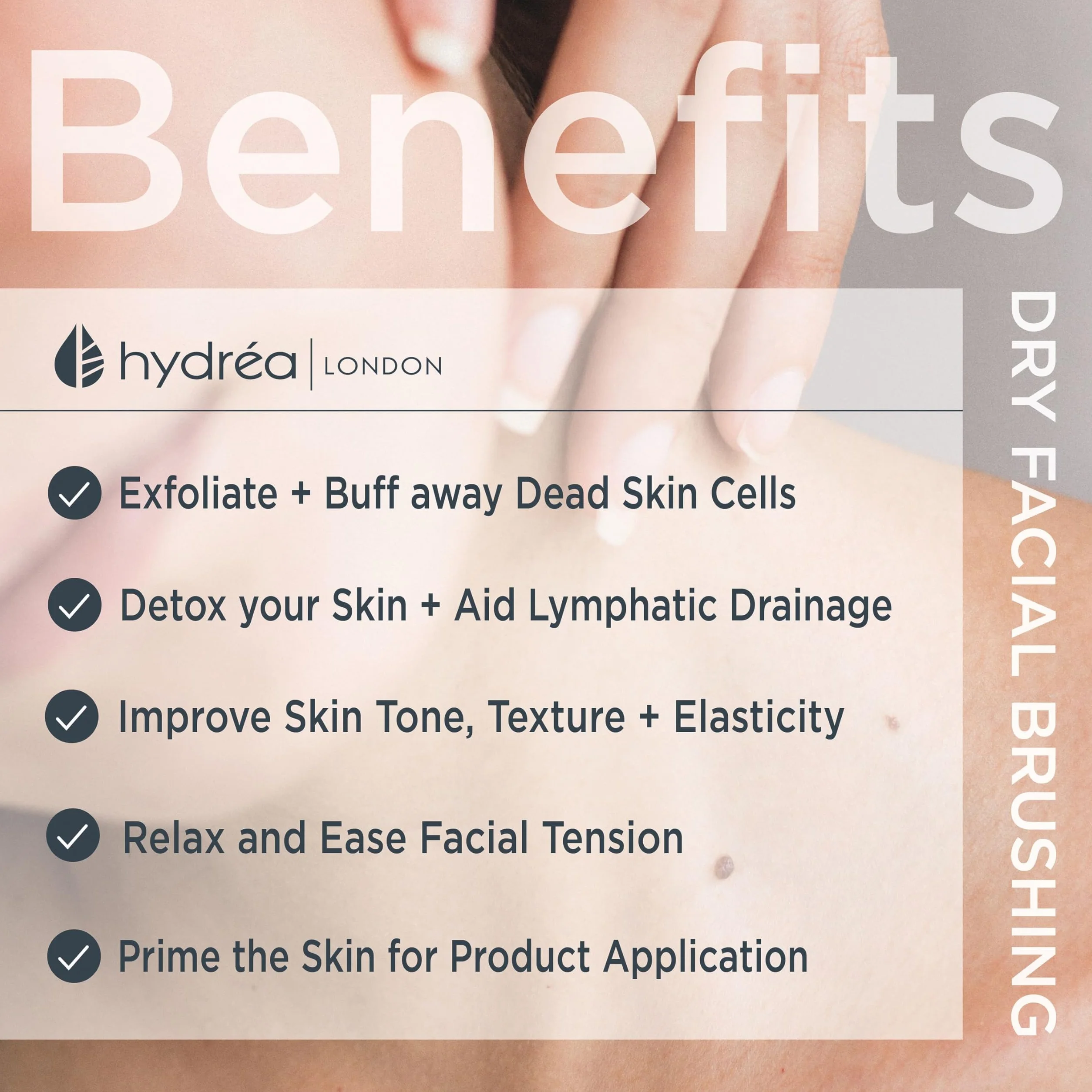 Hydrea London Szczotka do twarzy – peeling do skóry z naturalnego włosia, delikatny peeling i złuszczanie, wspomaga przepływ limfatyczny – drewno bukowe z certyfikatem FSC®.