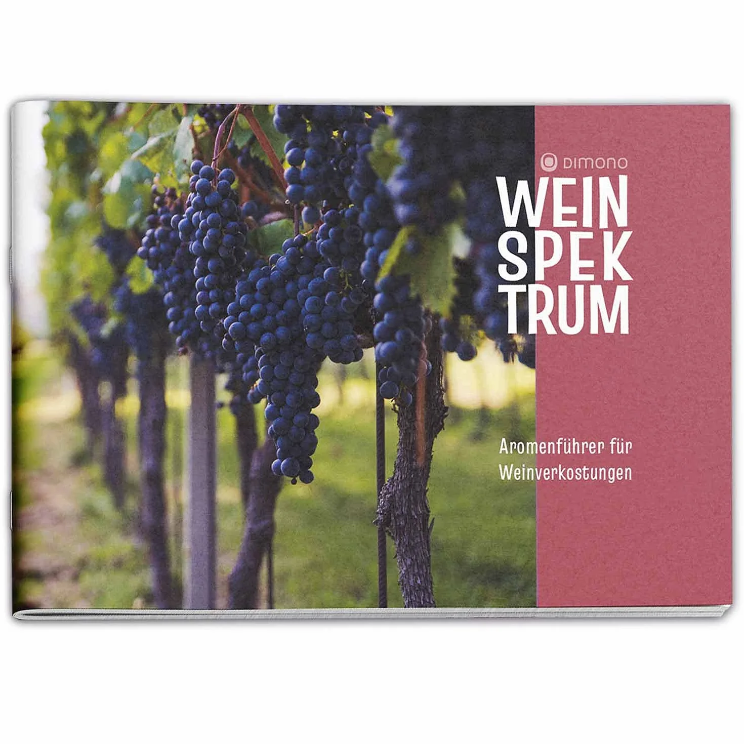 Koło smakowe do wina Deluxe – identyfikacja aromatów dla degustatorów i sommelierów (WERSJA NIEMIECKA)