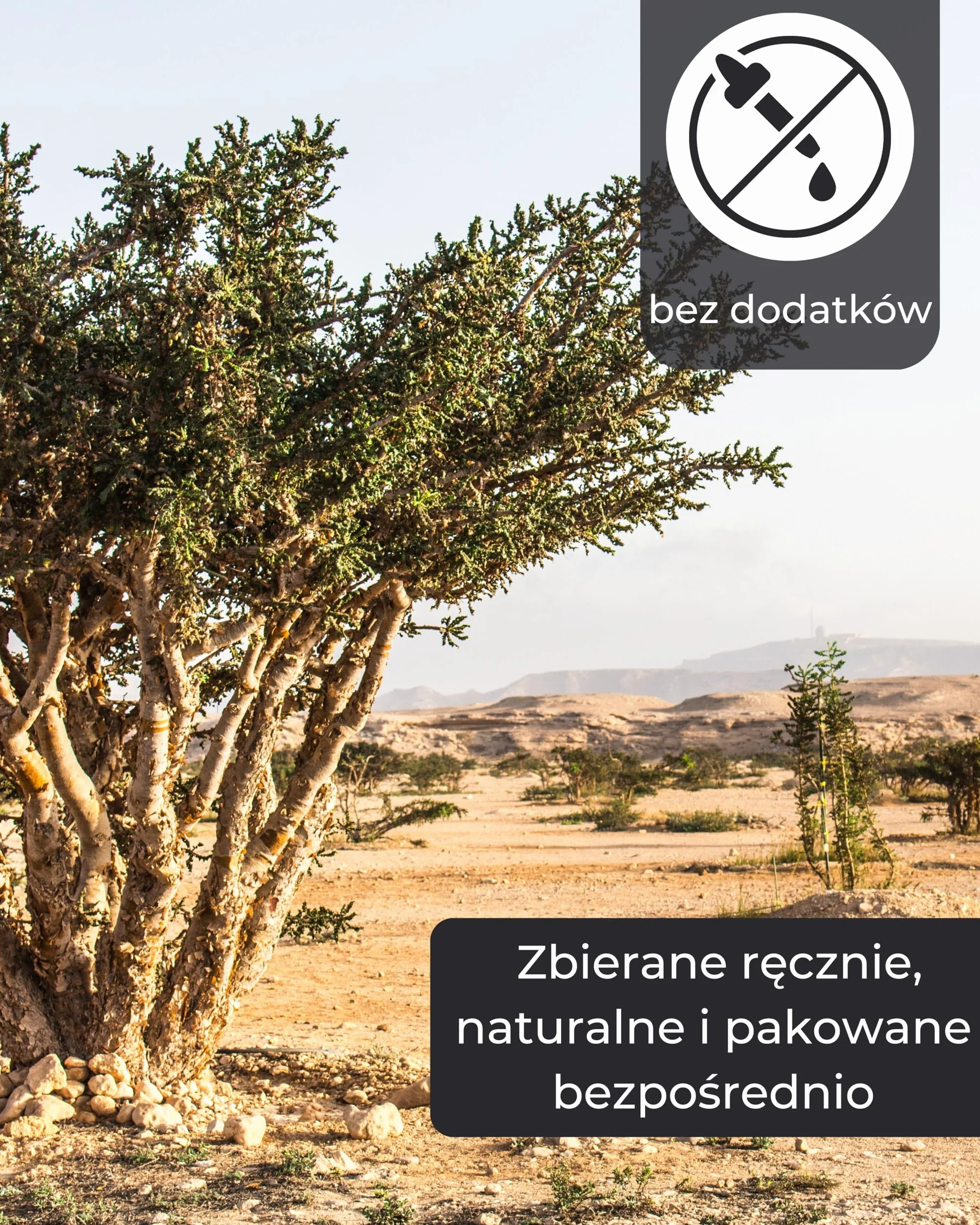 Żywica Naturalna Boswellia Papyrifera 50 g Kadzidło Olibanum Kościelne