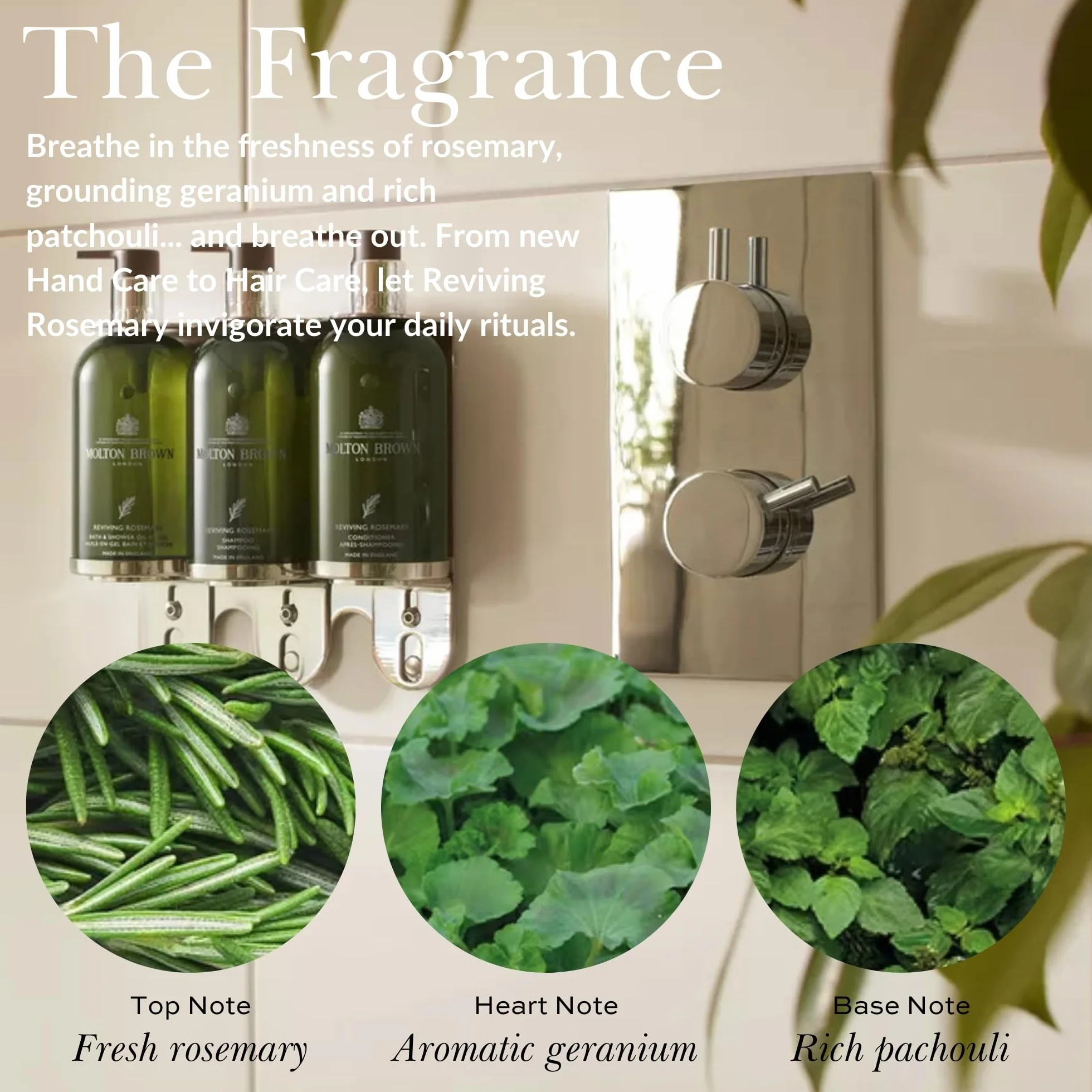 Molton Brown Reviving Rosemary olejek perfumowany 10 ml