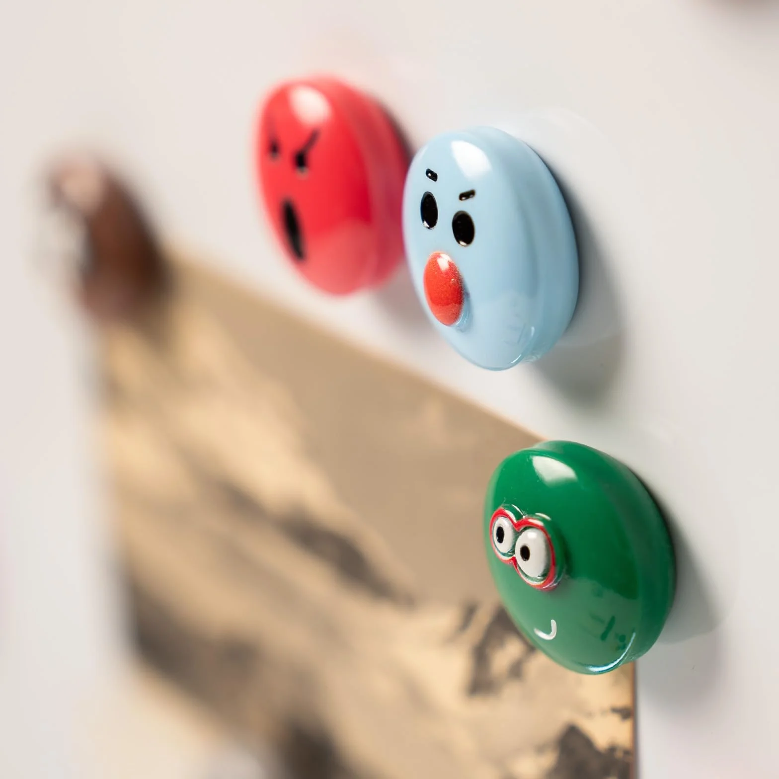3D Magnesy Na Lodówkę Żywica Neodymowe Gładkie Wykończenie Płaski Tył