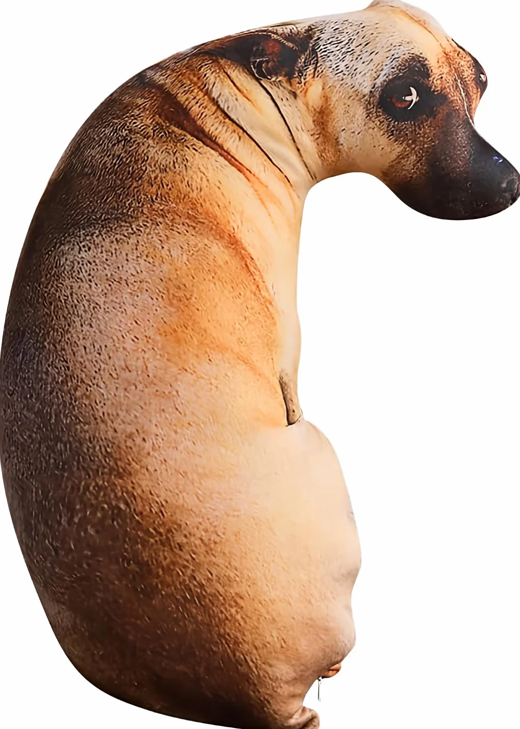Poduszka Shiba Inu pluszowa 50 cm symulacja 3D dekoracja domu