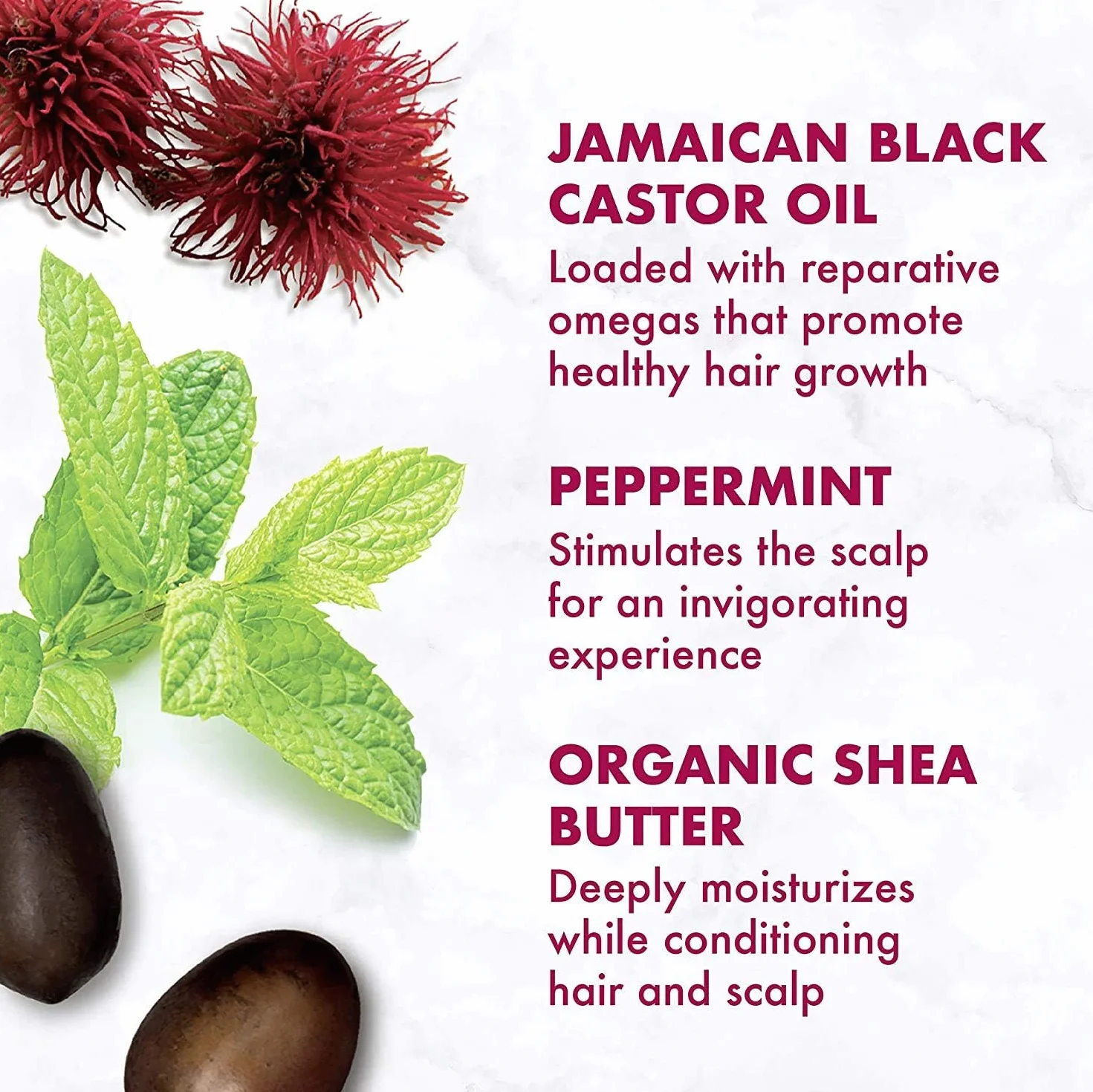 Shea Moisture - Jamajski czarny zestaw szamponu i odżywki z olejem rycynowym