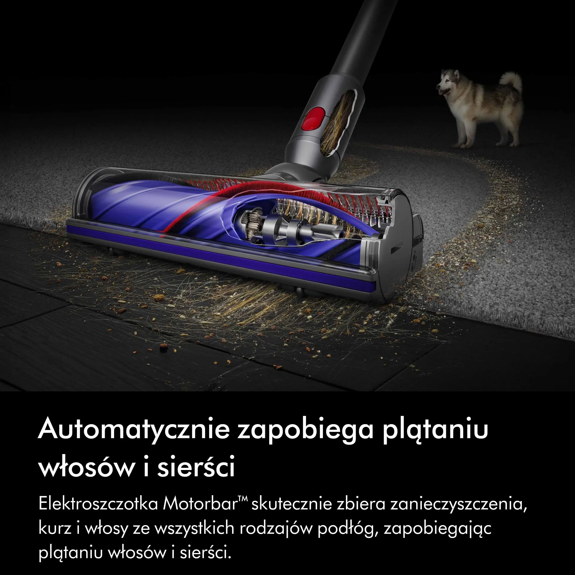 Dyson V8 Advanced Bezprzewodowy Odkurzacz Pionowy Srebro Nikiel