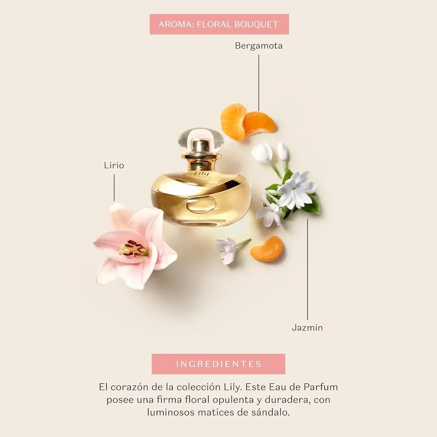 O Boticário Lily Zestaw Prezentowy Perfumy i Pielęgnacja Skóry z 3 Produktami | Krem Nawilżający Ciało, Perfumowany Olejek Do Ciała i Woda perfumowana