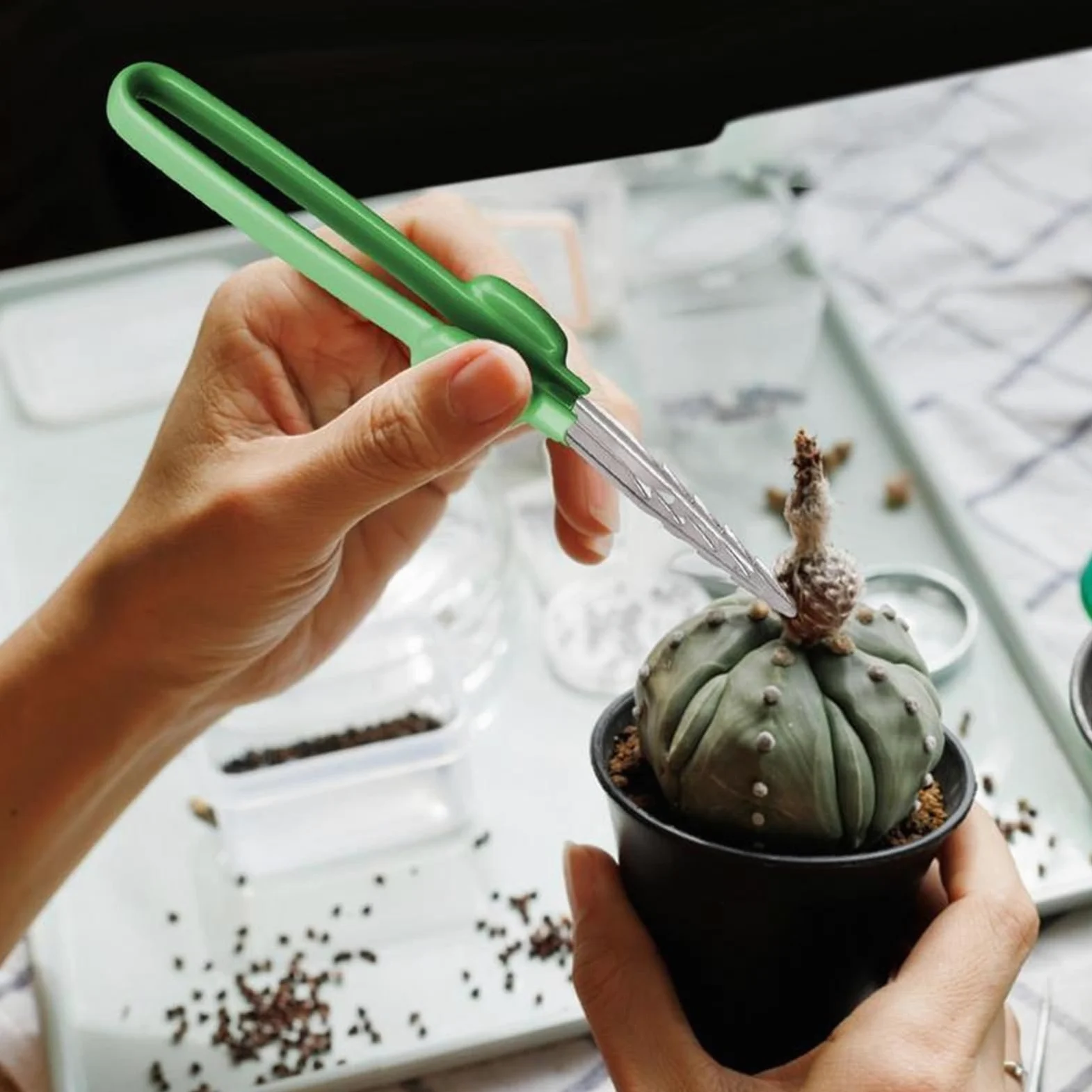 Pęseta do usuwania włosów pęseta ogrodnicza narzędzie bonsai zakrzywiona ząbkowana końcówka pęseta akwarium przezroczysty klips narzędzie naprawcze do ogrodu kuchnia pęseta