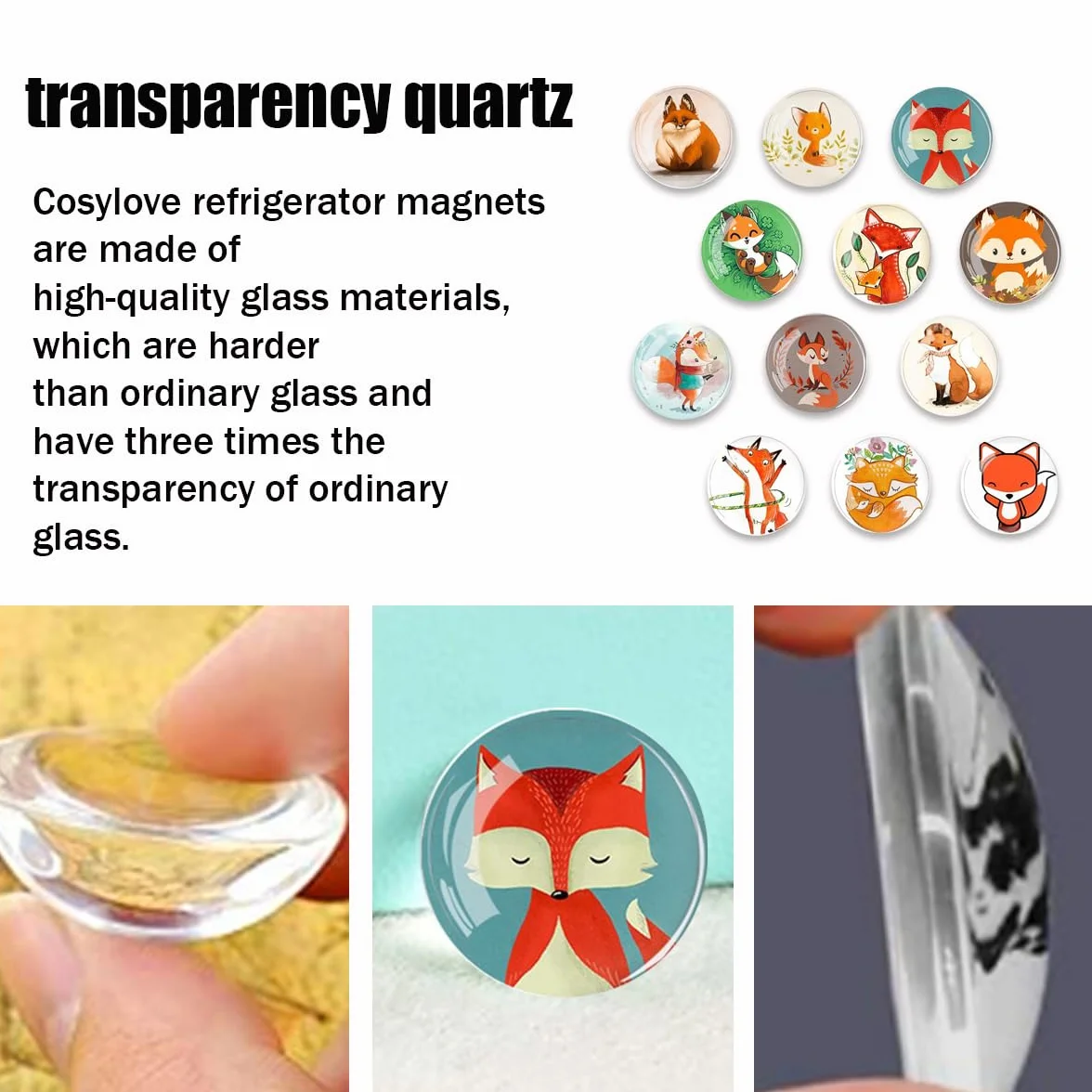 Magnesy na Tablicę Magnetyczną 30 mm Okrągłe Szklane Zabawne Wzory Lisa