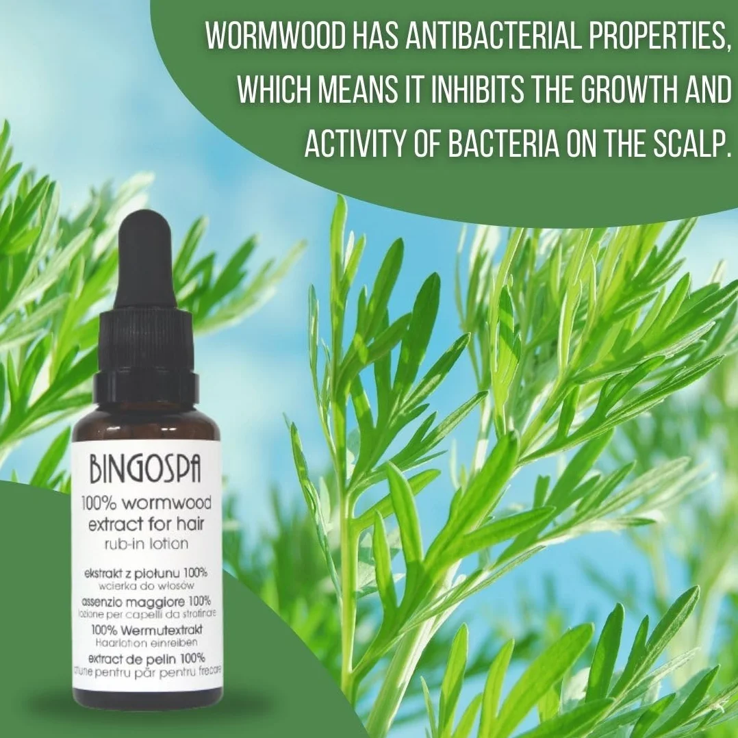 BINGOSPA Ekstrakt z piołunu 100% wcierka do włosów 30 ml