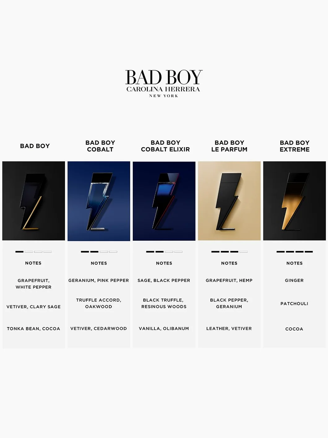 Carolina Herrera Bad Boy Cobalt Elixir EAU de Perfume Spray 150 ml
