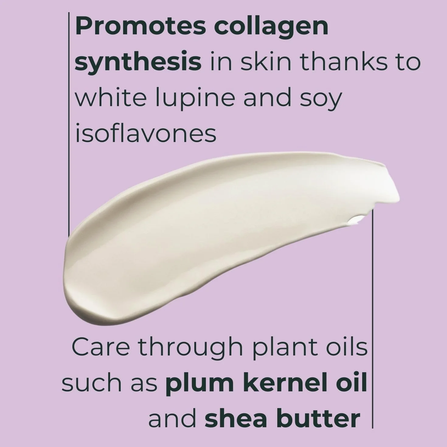 M. Asam Collagen Lift 24h krem do twarzy (50 ml) | Krem nawilżający z roślinnym wzmacniaczem kolagenu i masłem shea