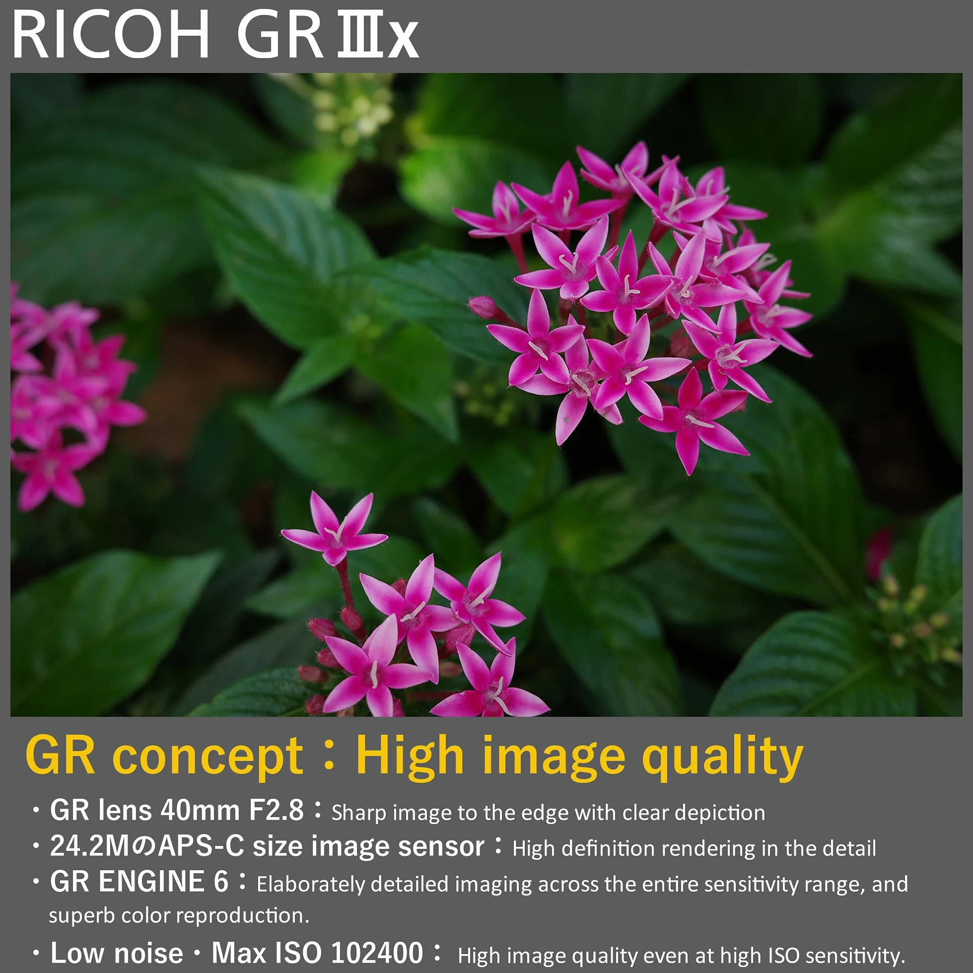 Ricoh Aparat cyfrowy GR IIIx [ogniskowa 40 mm] [Wyposażony w duży czujnik CMOS o rozmiarze 24,2 m APS-C ] [Najlepsza kamera z migawką] [Szybkie uruchamianie w około 0,8 sekundy] [Hybrydowy AF]