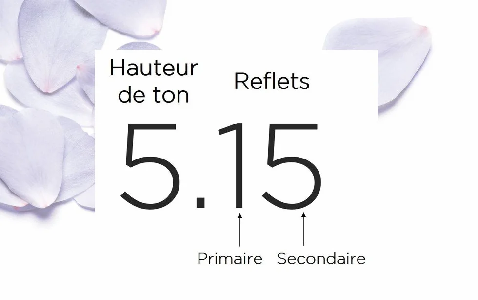 L'Oréal Paris Excellence Permanente Hair Farba Cream - Odcień : Miedziany mahoń (6,54)