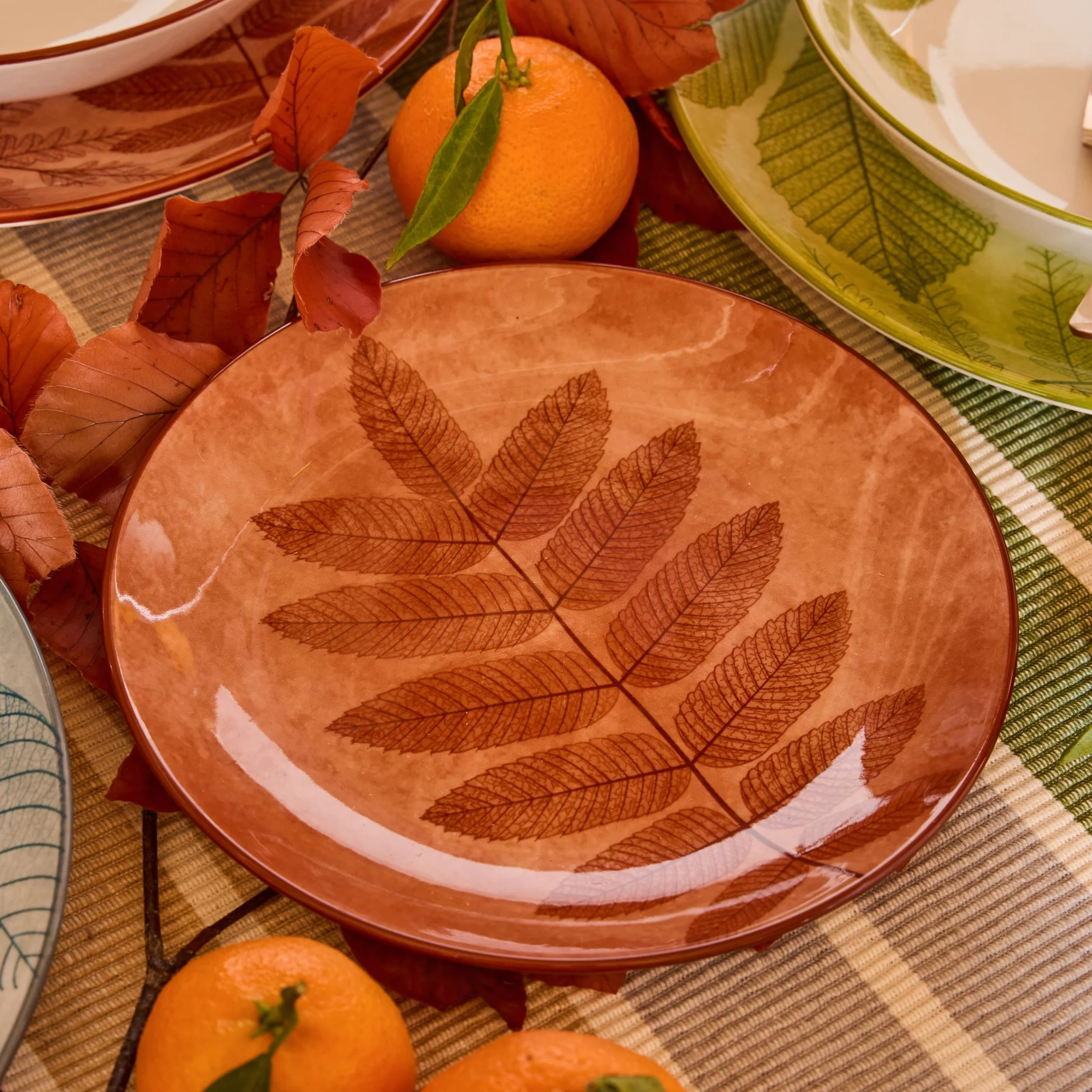 Tognana Natura 18-częściowy zestaw obiadowy dla 6 osób, porcelana, wielokolorowy