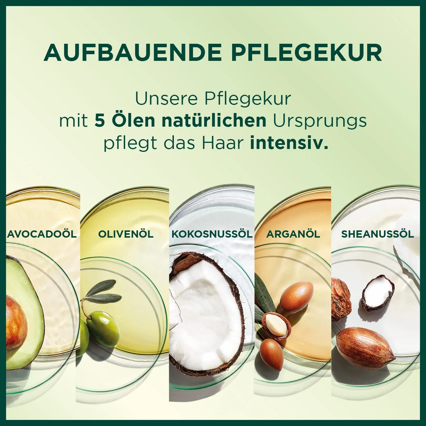 Garnier Nutrisse Creme Farba do Włosów, 9.03 Jasnt Naturalny Blond, 210 g