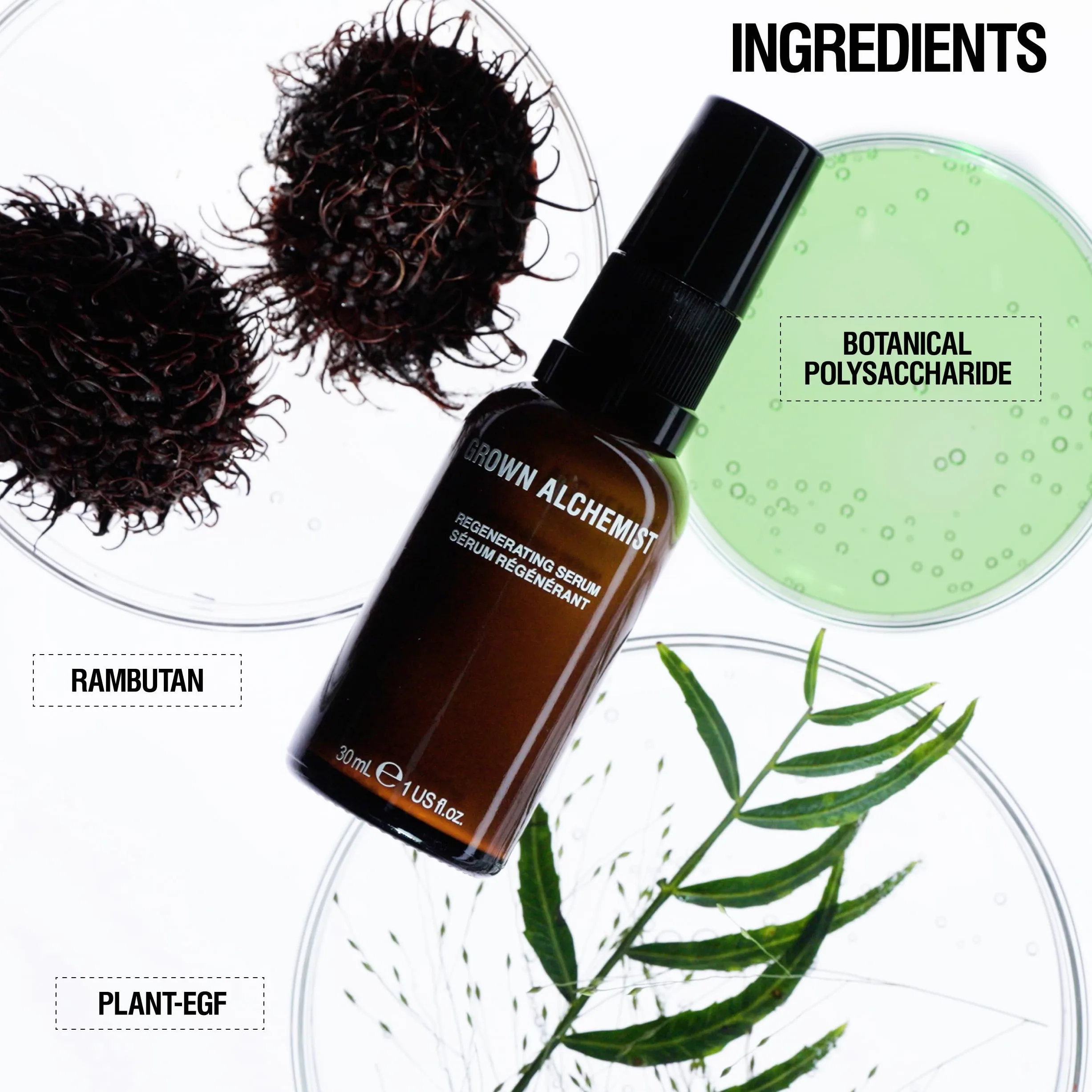 Grown Alchemist Regenerating Serum do Twarzy - Antystarzejące się Serum z Peptydami, Białka, Kolagen na bazie roślin do zapobiegania zwijaniu, nawilżaniu, organicznym serum do rozjaśniania twarzy, 30
