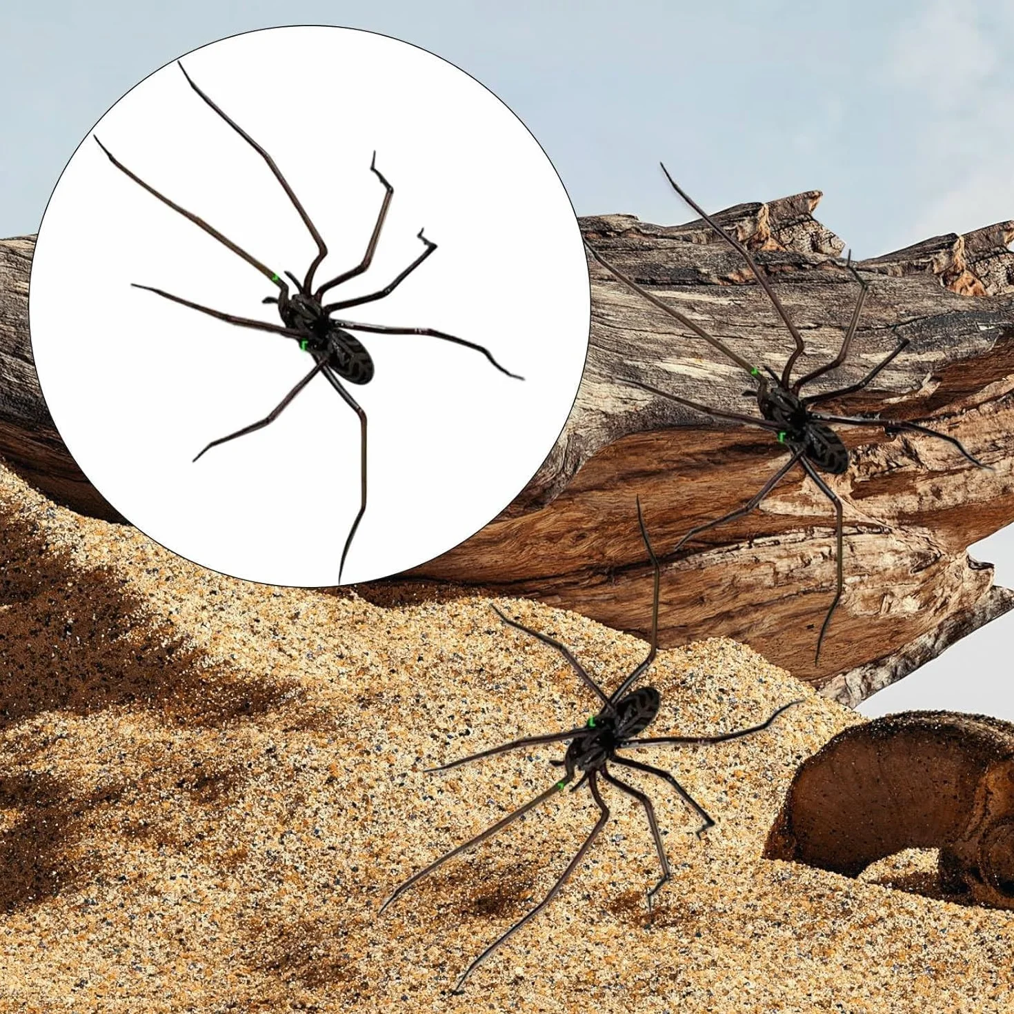 Yamobi Magnes na lodówkę 3D Spinne Realistyczne magnesy na pająki Halloween dekoracja