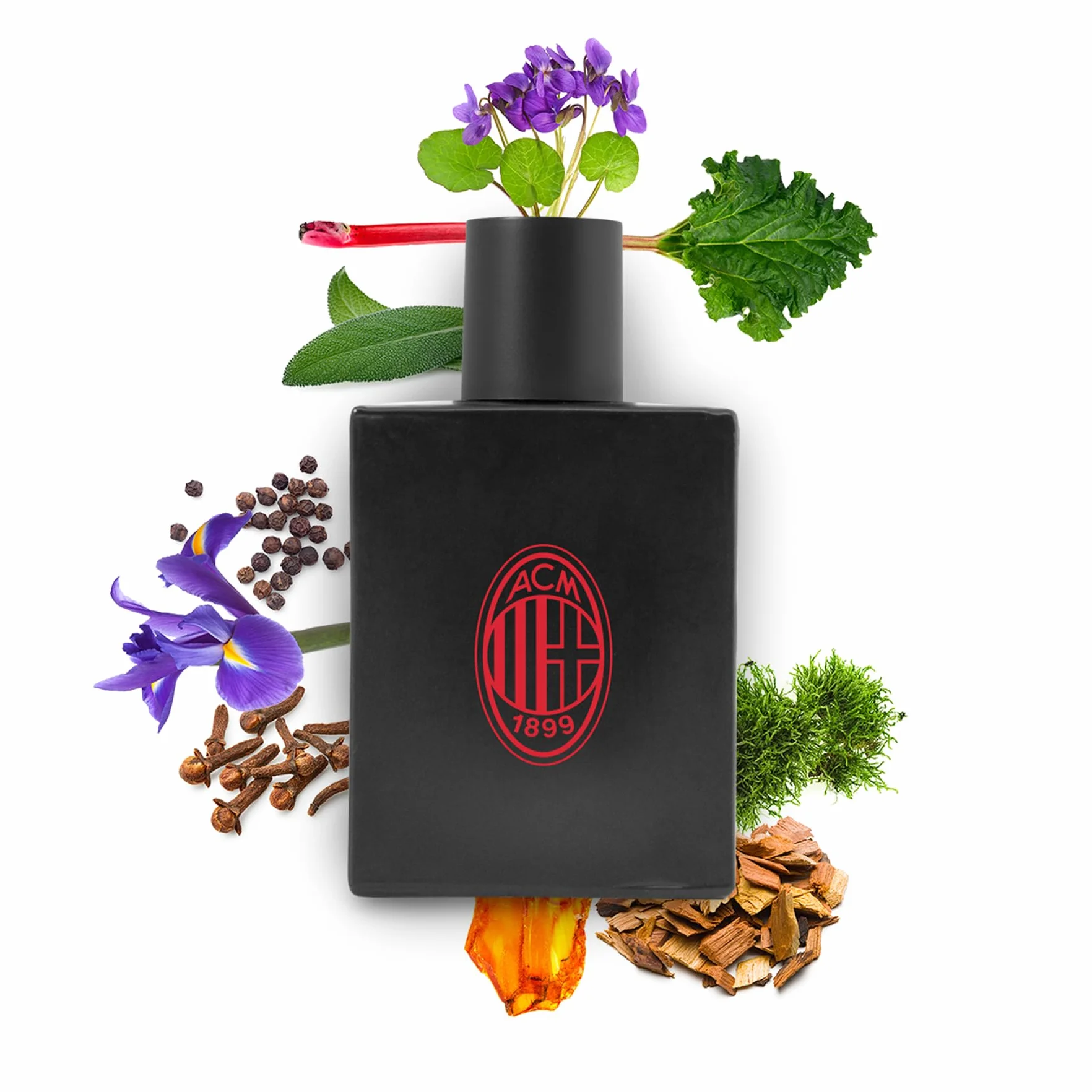 MILAN Woda toaletowa Milan dla mężczyzn z drzewnym i korzennym zapachem, eleganckie opakowanie rozebron, wyprodukowane we Włoszech, 100 ml