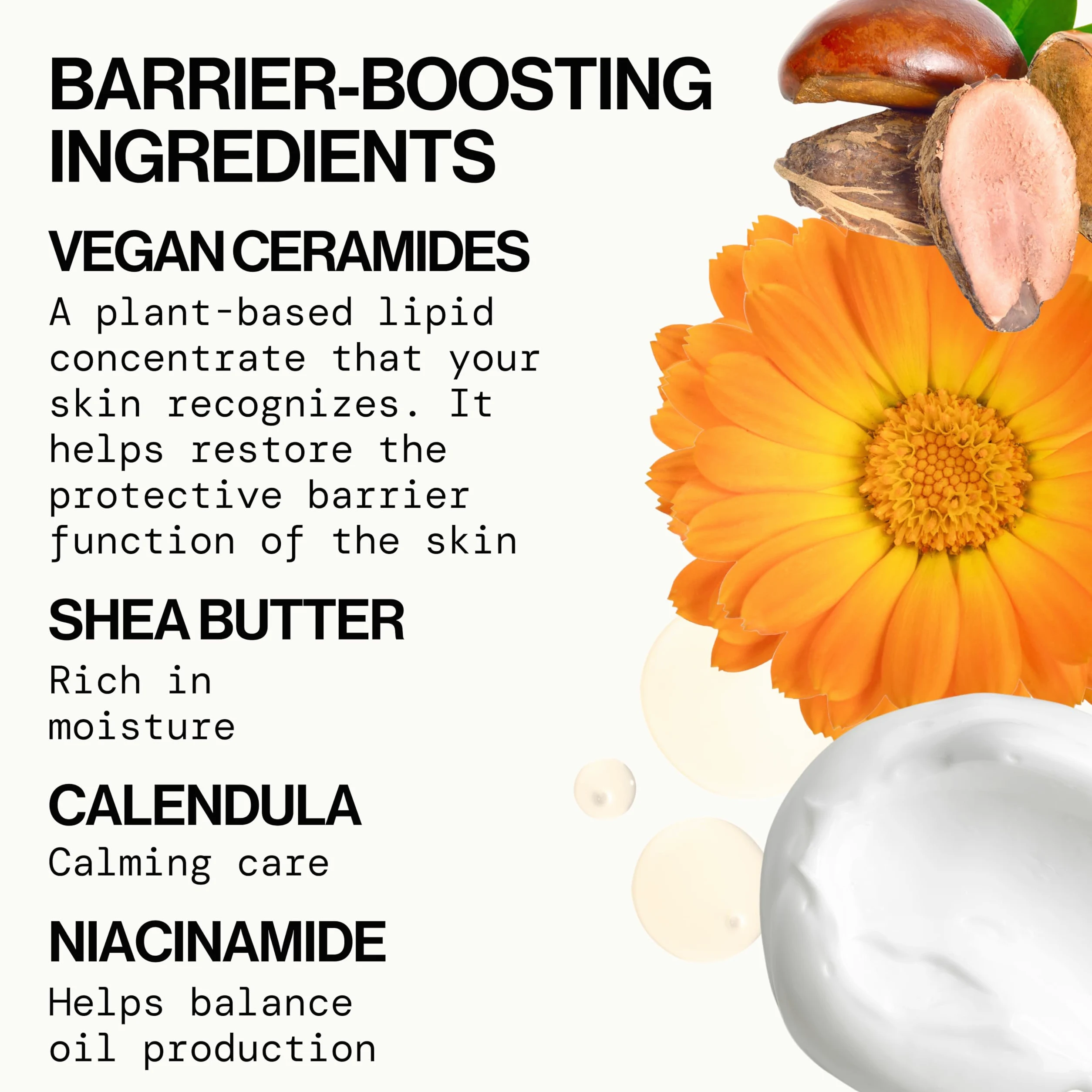 Pacifica Beauty Ceramide Barrier Repair Daily Face Moisturizing Cream, Ecezma Association Approved, bezpieczny dla skóry wrażliwej, bezzapachowy, w 100% wegański + bez Cruelty Free, 4,5 ml