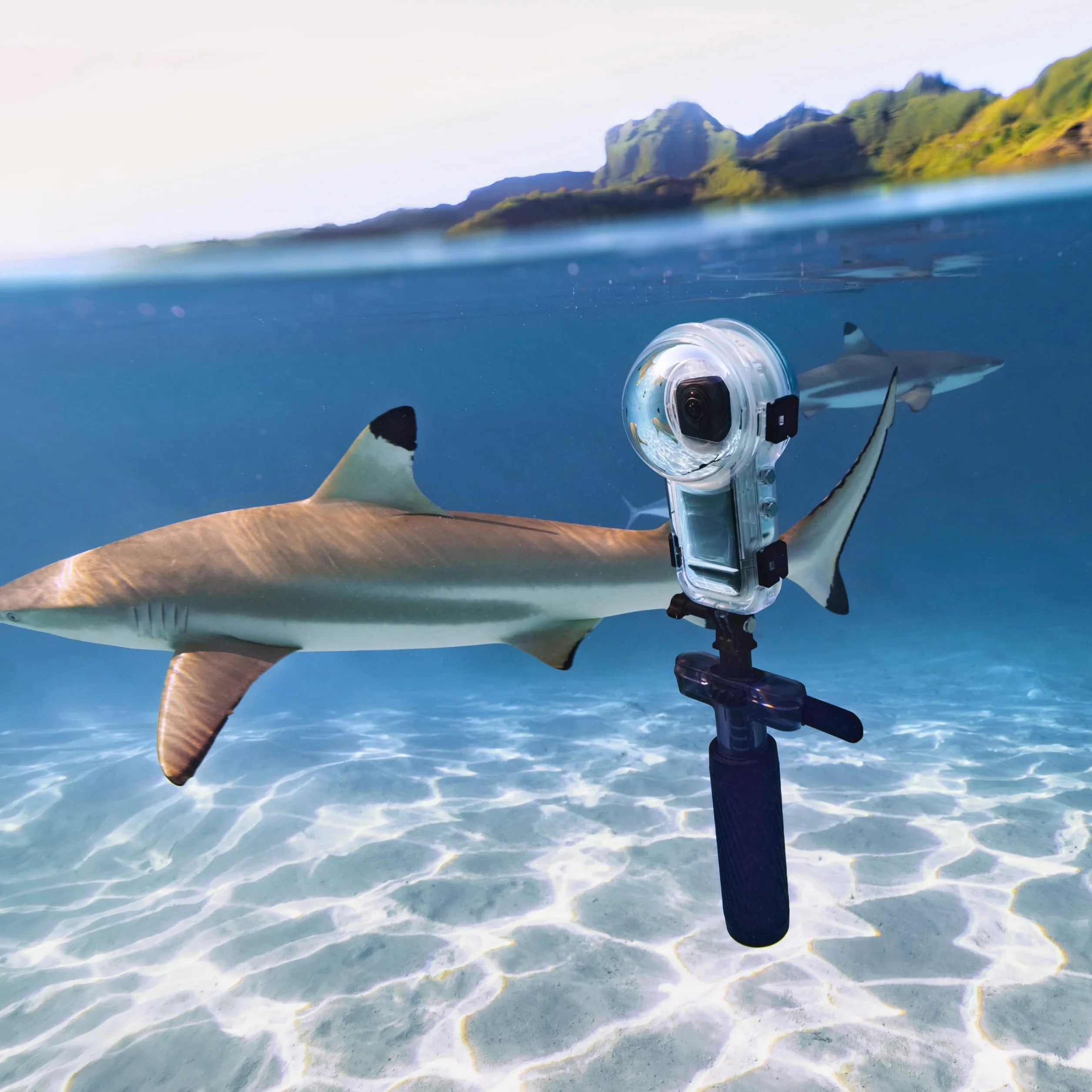 Insta360 Dive Buddy