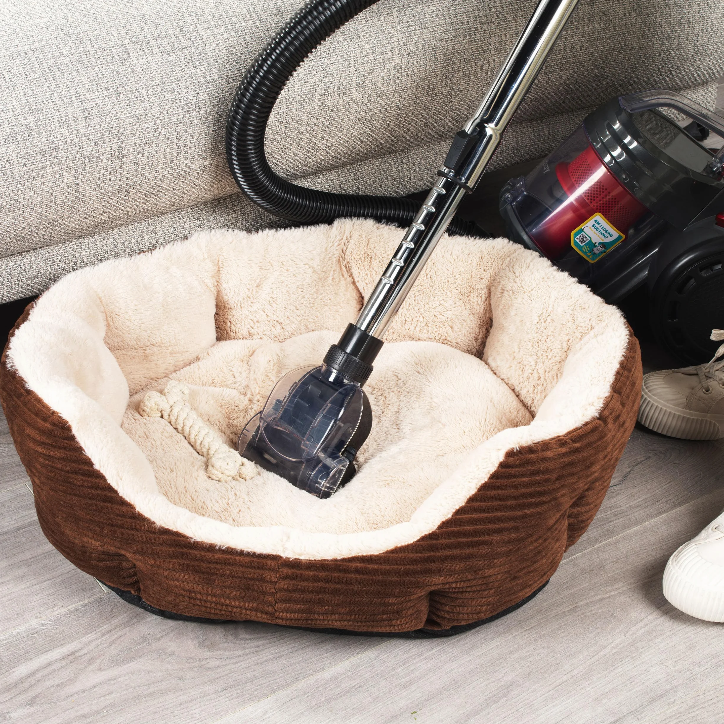 Beldray BEL0700TBVDE kompaktowy odkurzacz bezworkowy 700W Pet Plus turbo szczotka 2L czerwony czarny