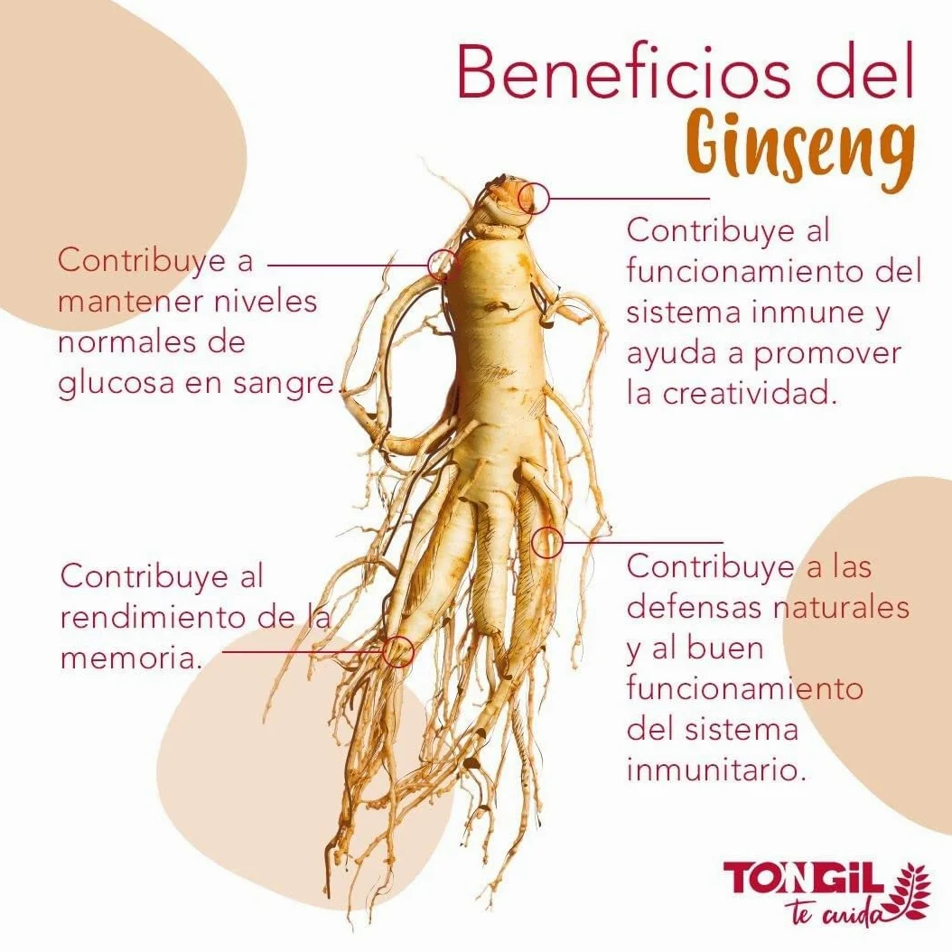 TONGIL GINSENG IL HWA suplement diety w kapsułkach 100 kapsułek