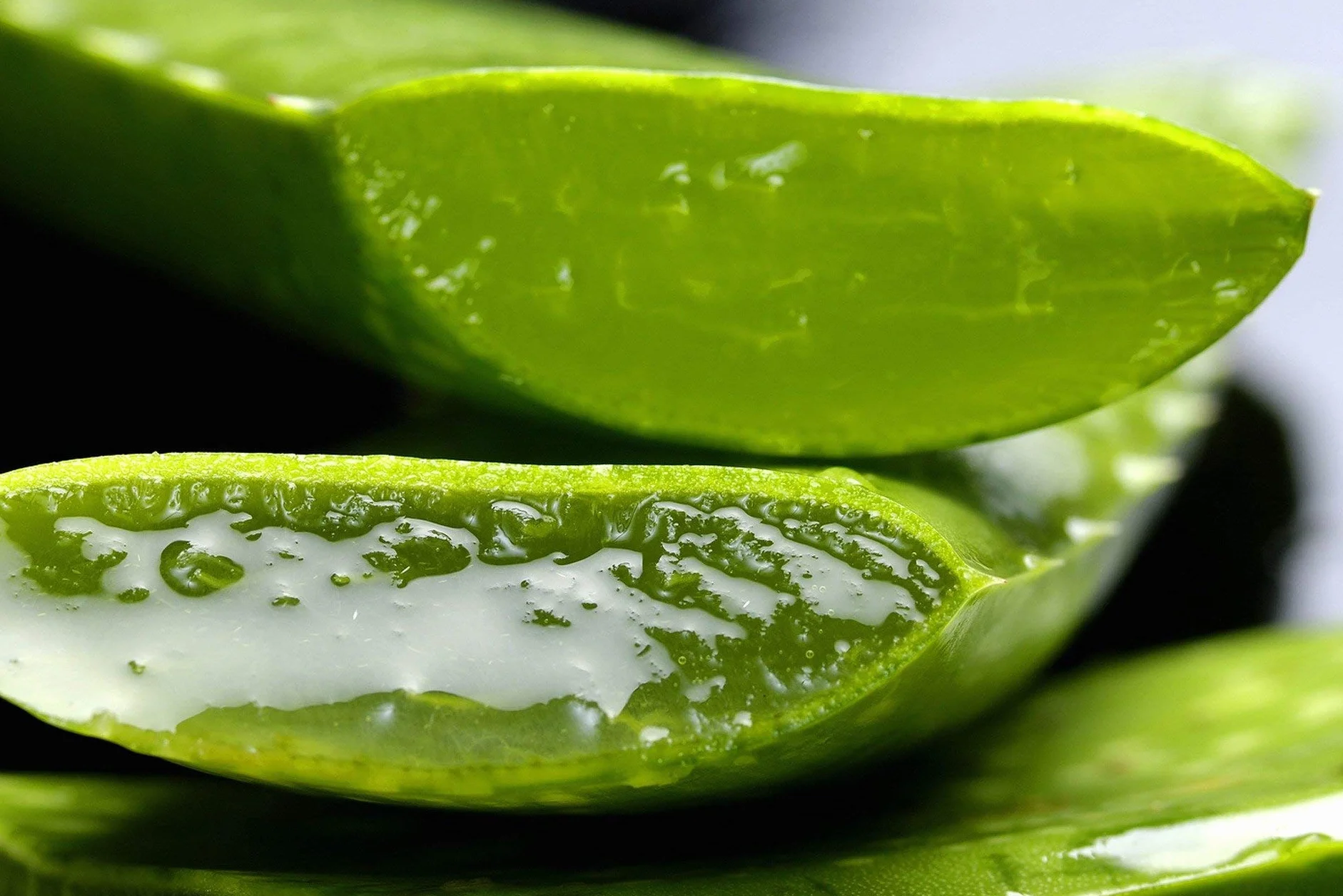 Krem do rąk Aloe Vera 100 ml opakowanie 2 x 1 taaibaloe