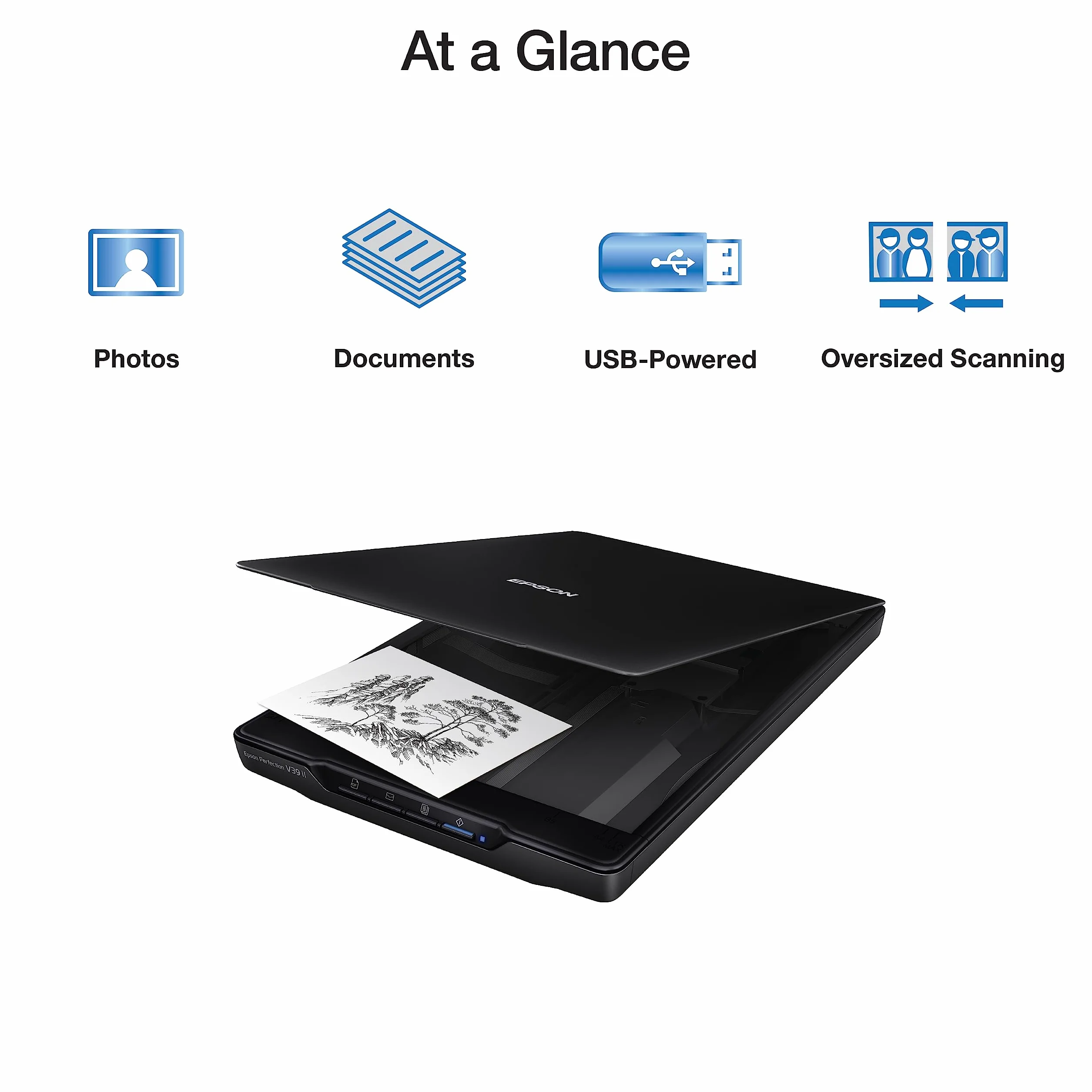 Epson Perfection V39 II kolorowy skaner płaski do zdjęć i dokumentów o rozdzielczości optycznej 4800 dpi, skanowanie do chmury, zasilanie USB i wysoki stan, zdejmowana pokrywa