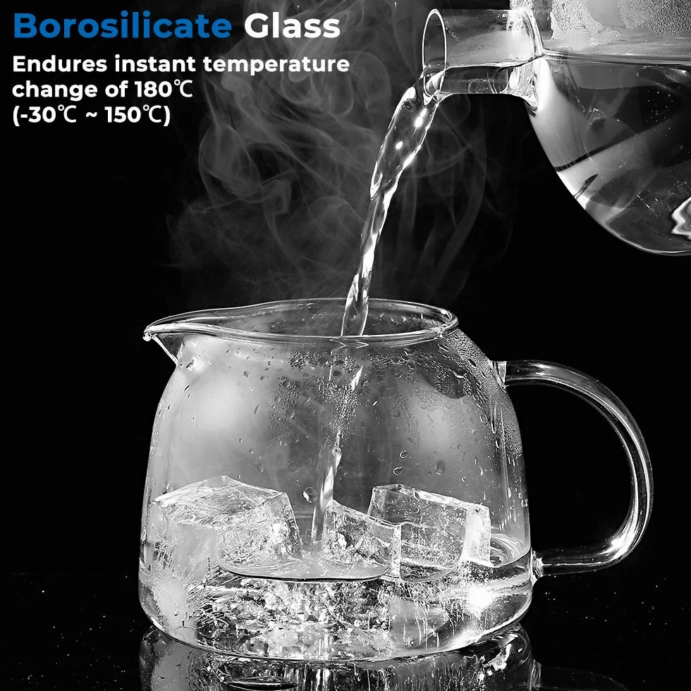 Ecooe Szklany czajniczek z zaparzaczem 1000 ml, bezbarwny szklany czajniczek z wyjmowanym zaparzaczem ze stali nierdzewnej, do czarnej herbaty zielonej herbaty zapachowej herbaty owocowej