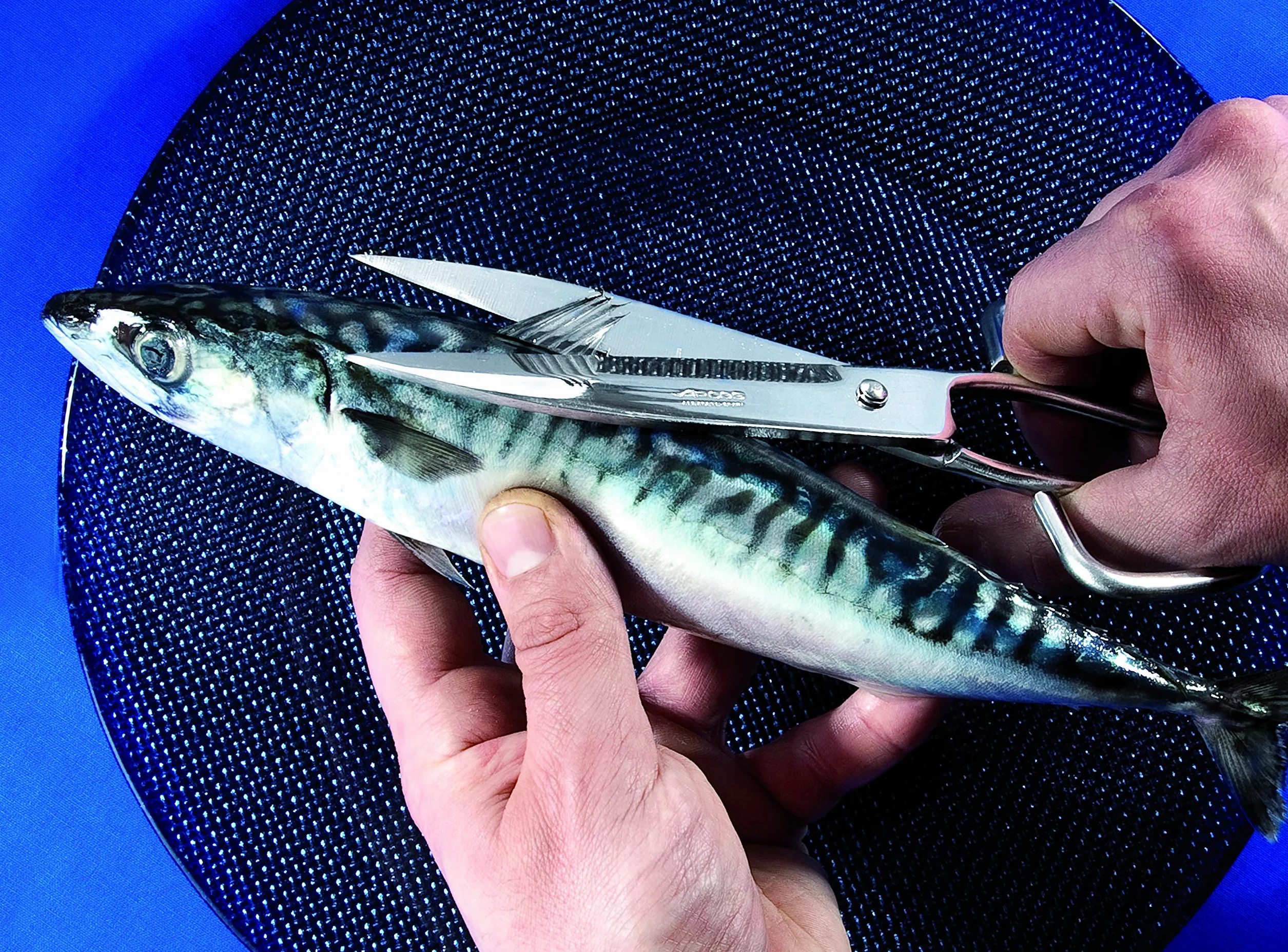 ARCOS Ecopro Nożyczki Kuchenne ze Stali Nierdzewnej 200mm Srebrne