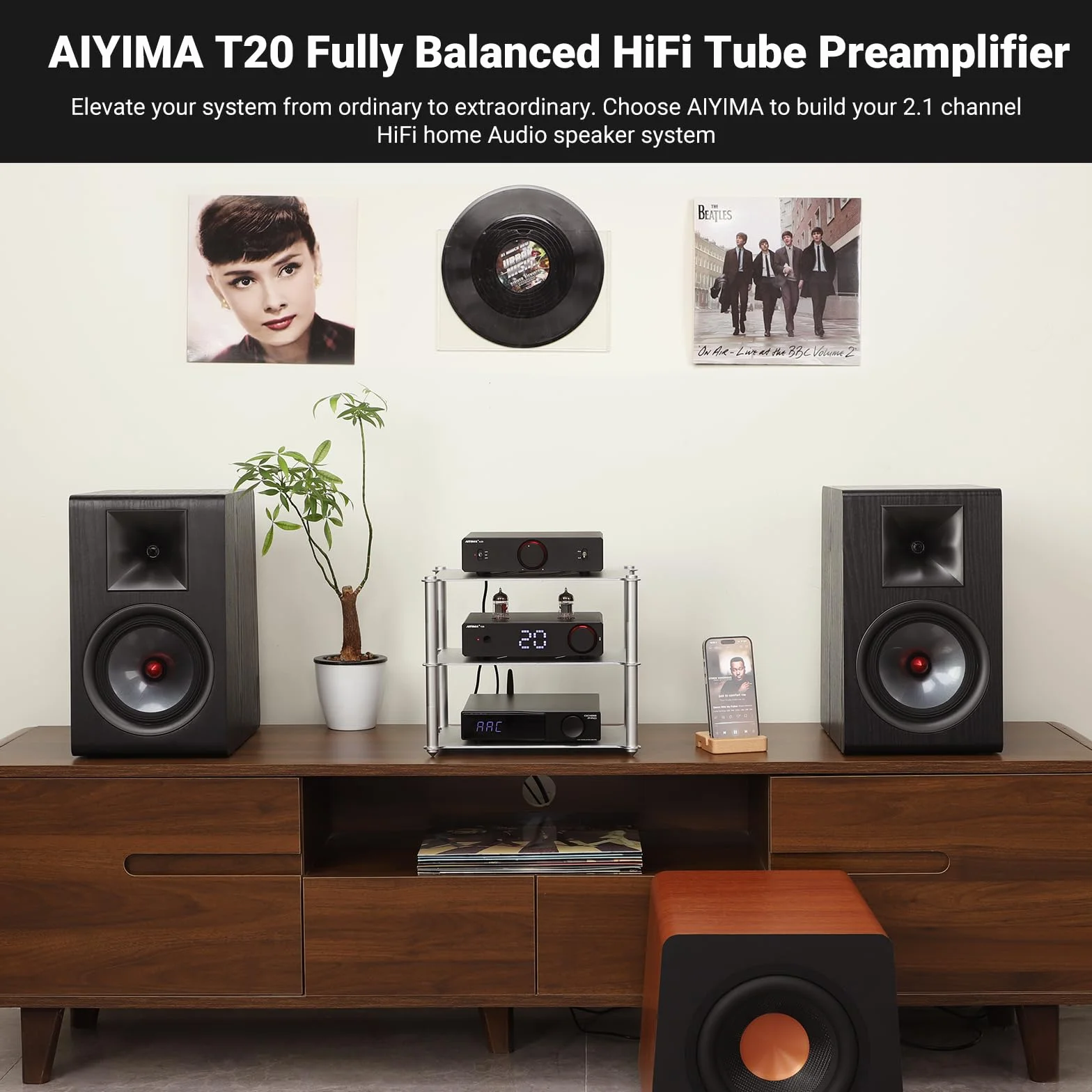 W pełni zbalansowany przedwzmacniacz lampowy AIYIMA T20 LME49720 do domowego sprzętu HiFi Mini przedwzmacniacz lampowy z wejściami i wyjściami RCA i XLR oraz wyjściem wyzwalającym 12 V