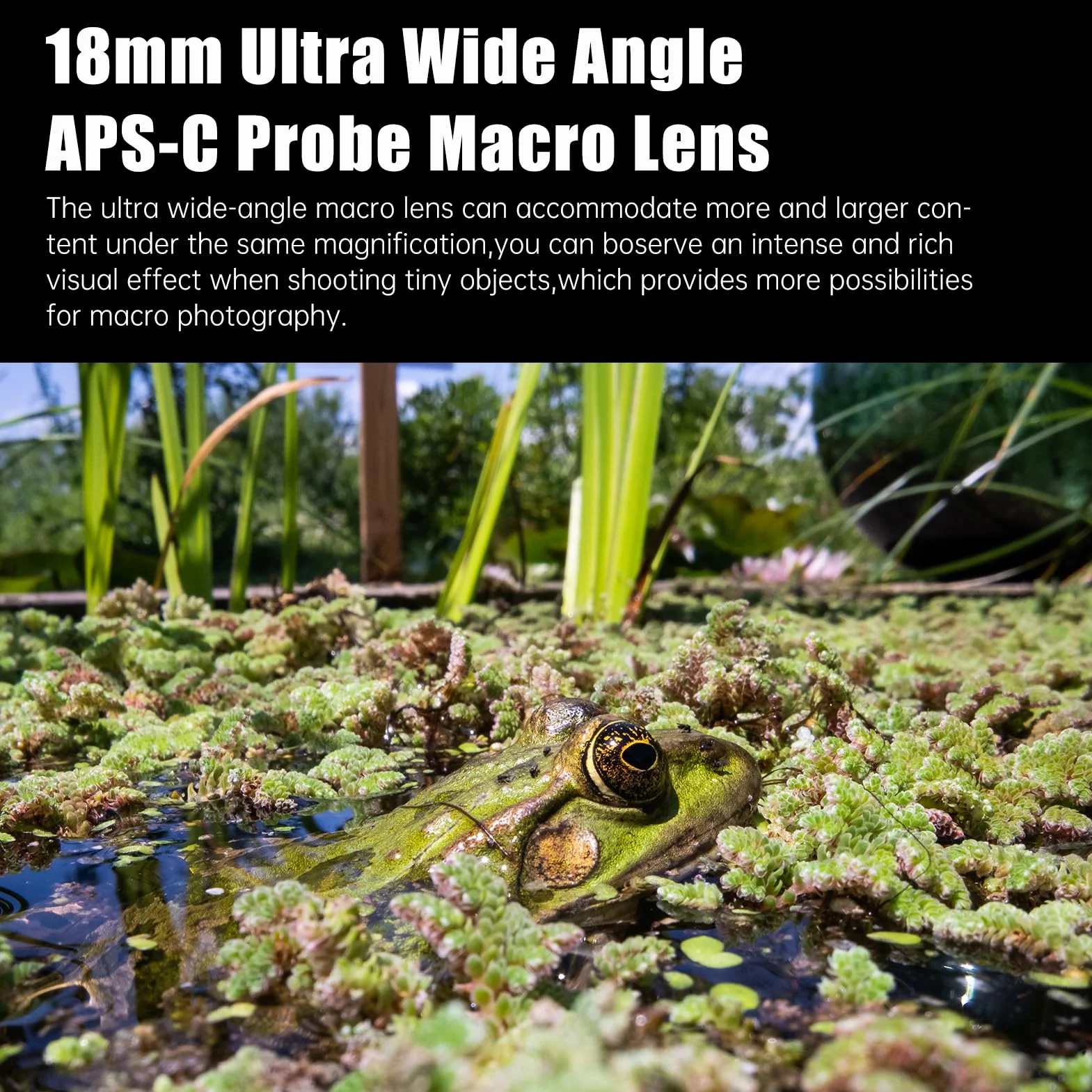 AstrHori 18 mm F8 90° peryprobe i zestaw obiektywów z bezpośrednim widzeniem szerokokątnym 2x makro do aparatów bezlusterkowych APS-C Fuji X Mount X-A1, X-A2, X-A5, X-A7, X-M1, X-H1, X-T1, X-T100