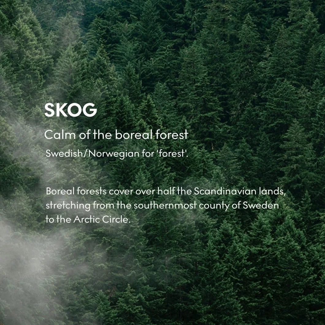 Skandinavisk Skog 'Wald' balsam do rąk i ciała, nuty zapachowe: igły sosnowe i szyszki jodłowe, sok brzozowy i konwalia, kolorowa szklana butelka z pompką, 200 ml