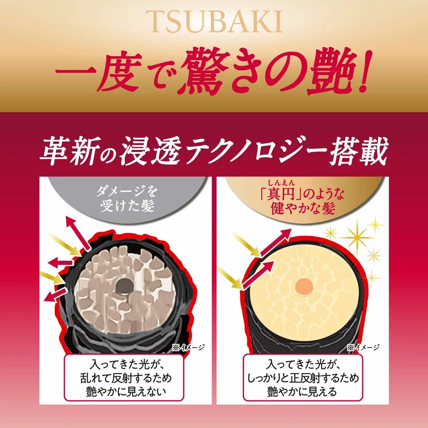 Shiseido Zestaw do pielęgnacji brody: Szampon i Kondygnator Premium Moist, Kamelia, 2 sztuki, 490 ml, Nawilżający