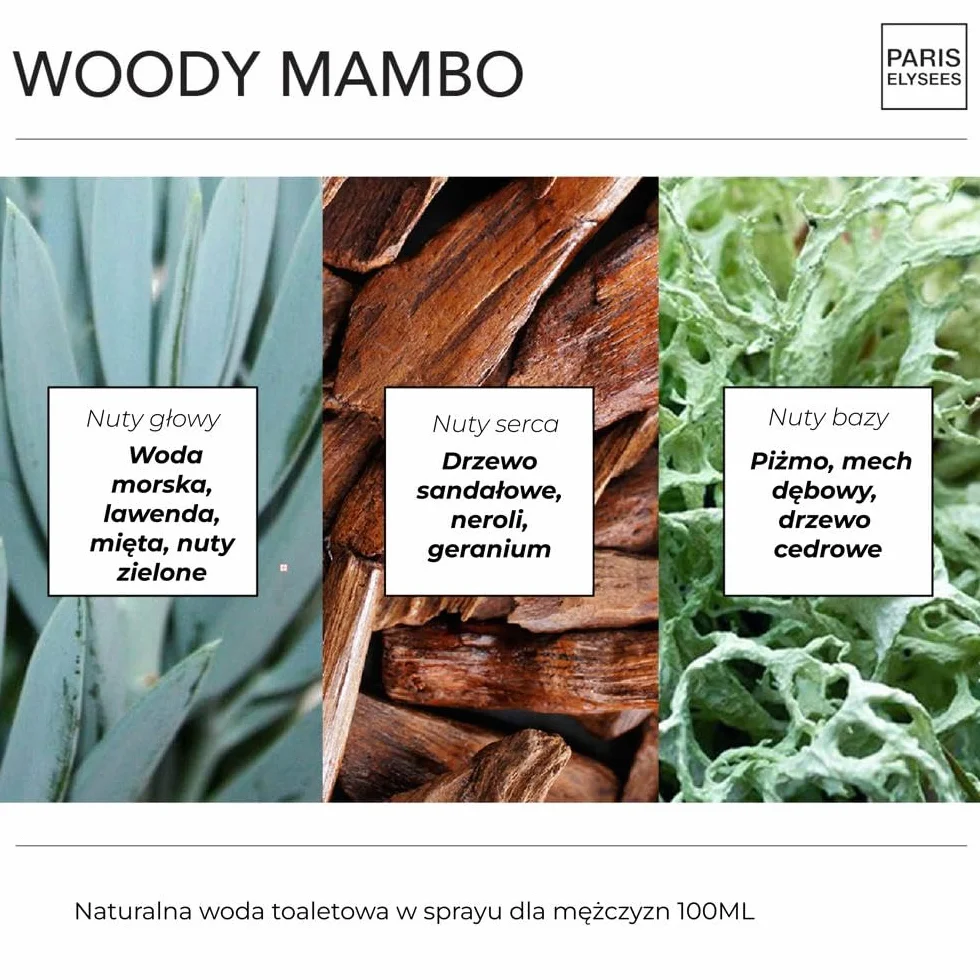 PARIS ELYSEES - Woody Mambo - Eau de Toilette - Perfum Mężczyzna - Aromatyczny - Nuty wody morskiej, lawendy i mięty - Atomizer 100ml - Zawiera metalowy flakon podróżny 5ml