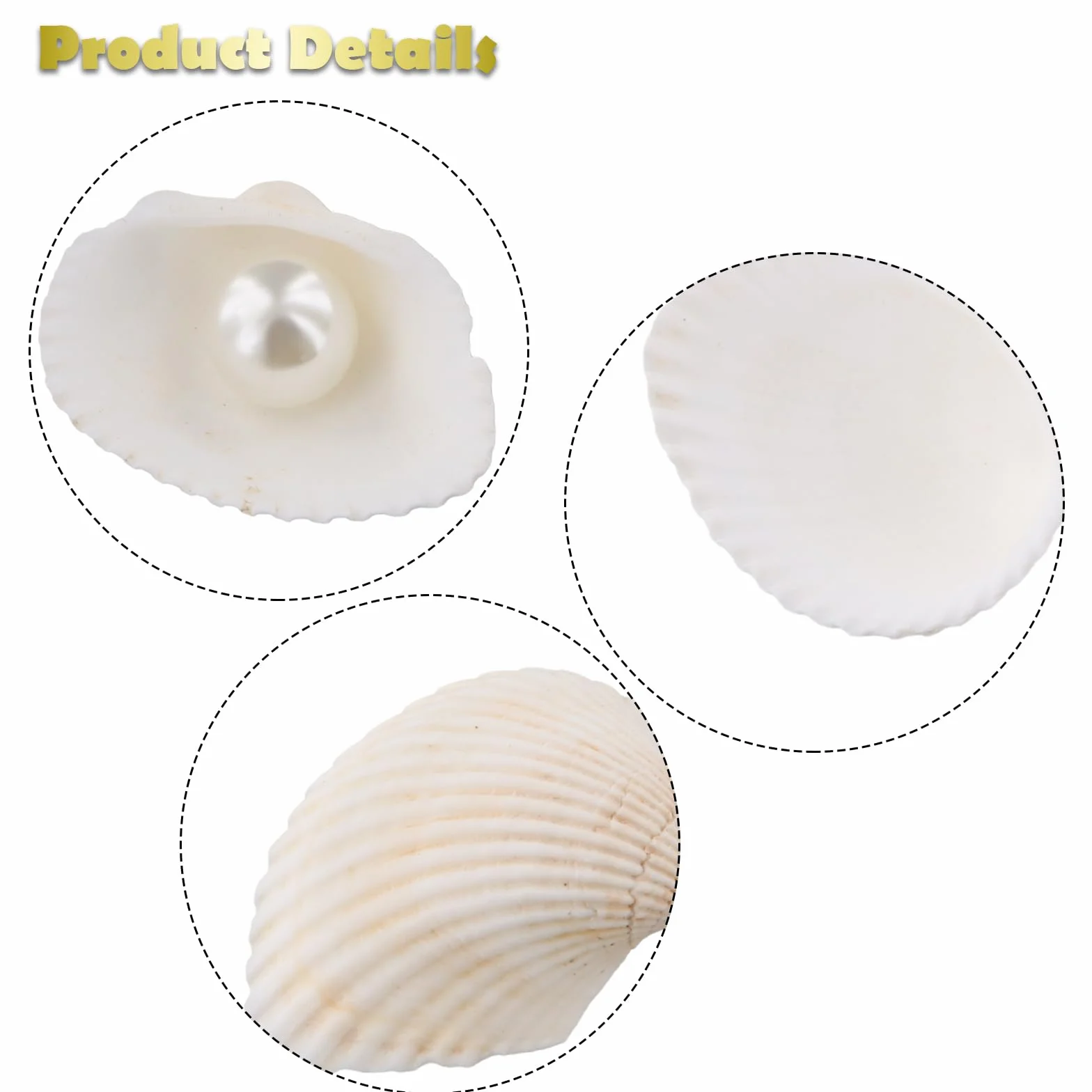 Muszelki morskie naturalne 180 g 2-3 cm do dekoracji rękodzieła