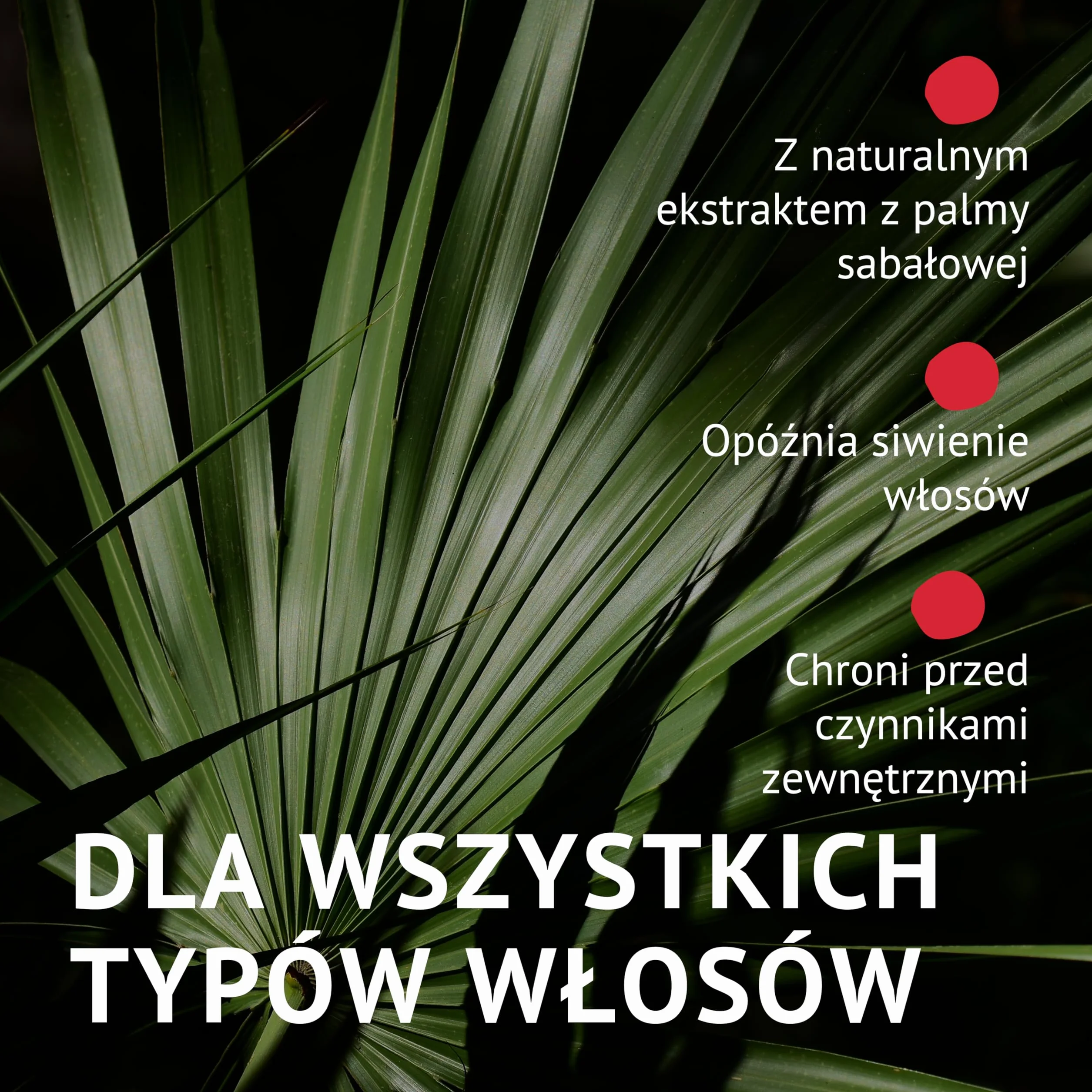 Sawpoo szampon przeciw wypadaniu włosów z biotyną i ekstraktem z palmy piłowej DHT Blocker