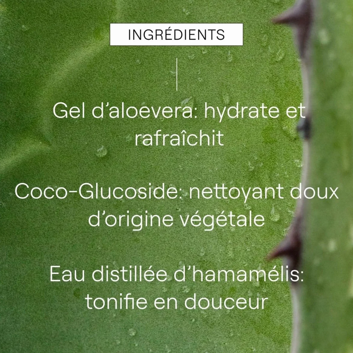 Weleda Gel Limpiador Refrescante 150 Ml Żel Odświeżający 150 Ml