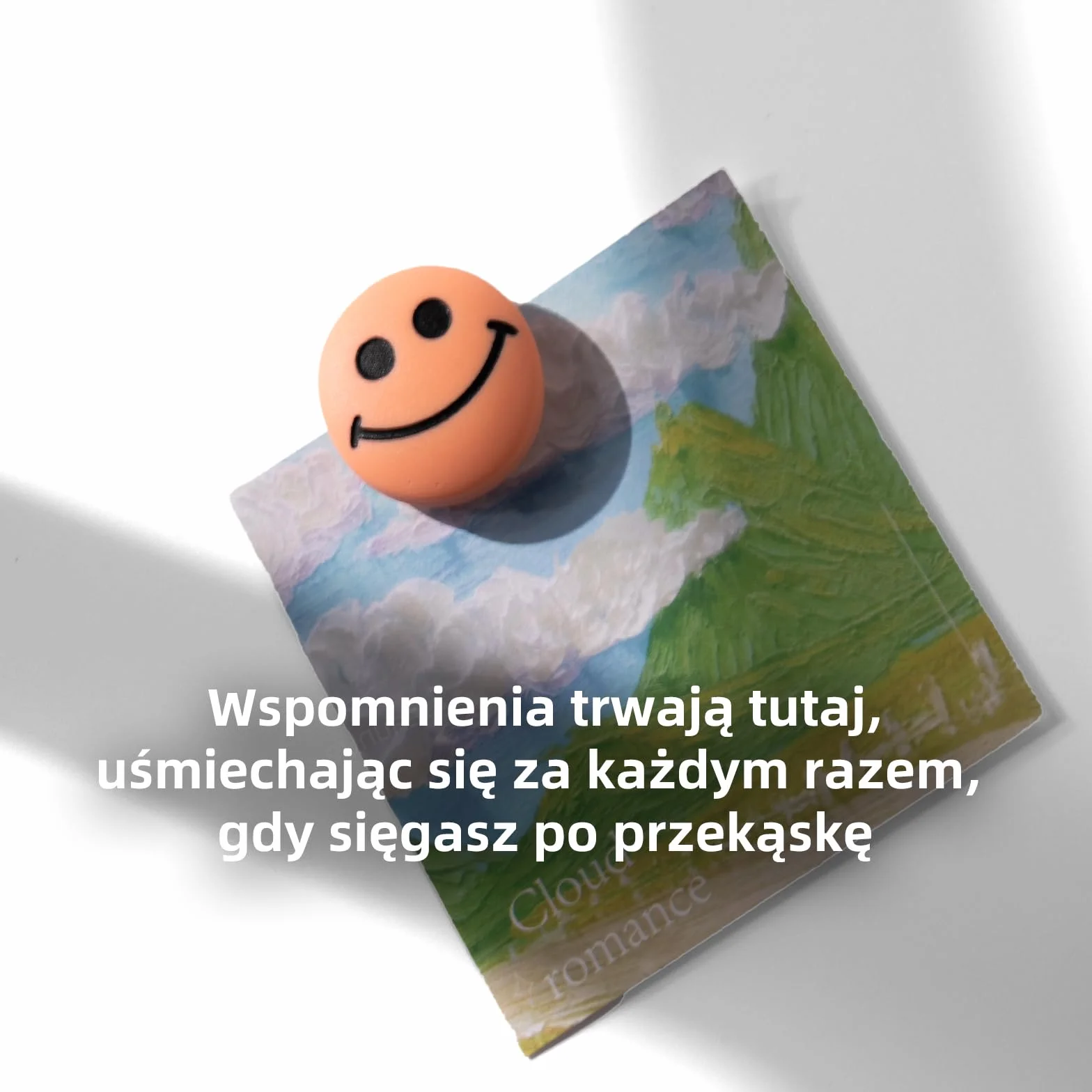 3D Magnesy Na Lodówkę Żywica Neodymowe Gładkie Wykończenie Płaski Tył