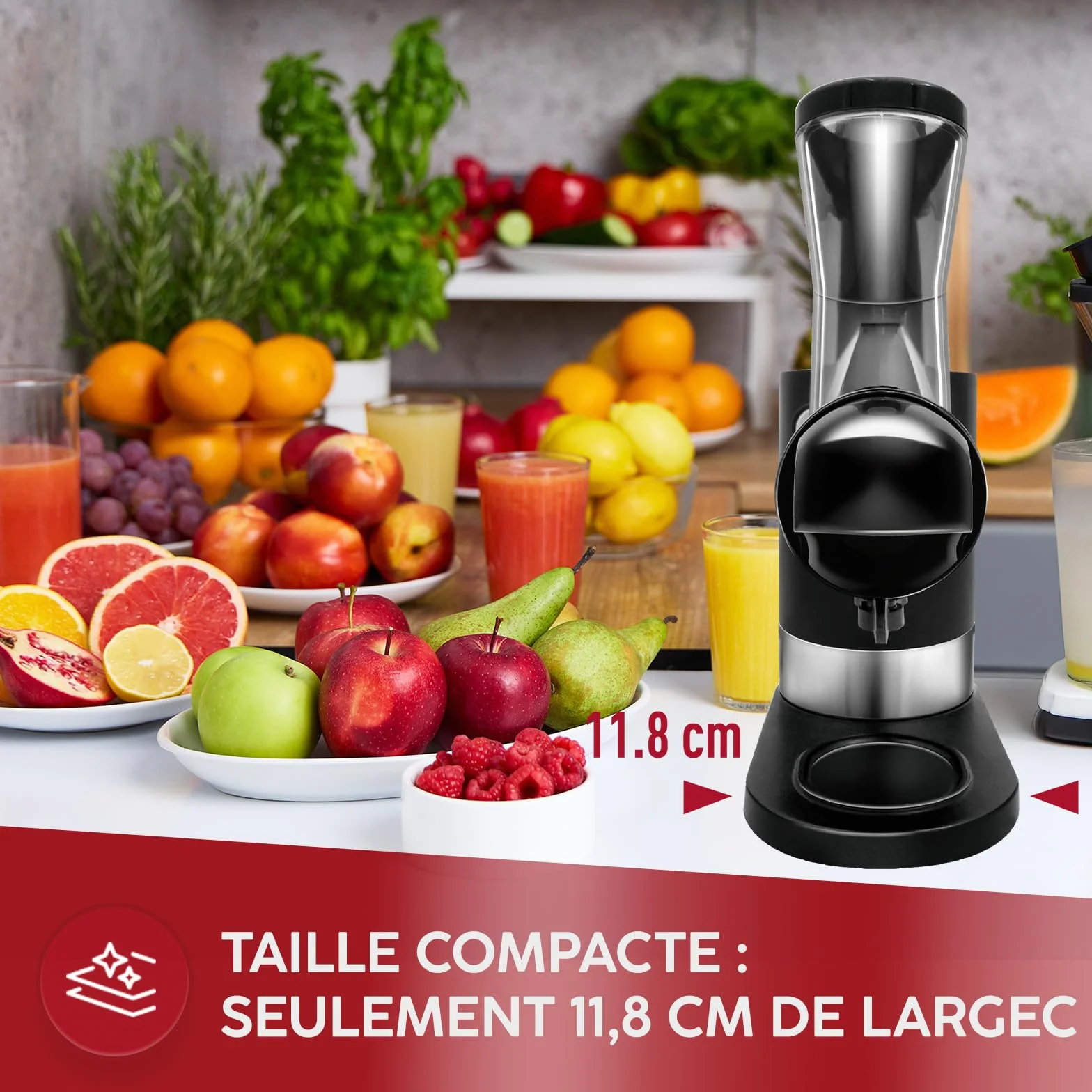 Sokowirówka MPM MSO-17 Slow Juicer 450 W stal nierdzewna
