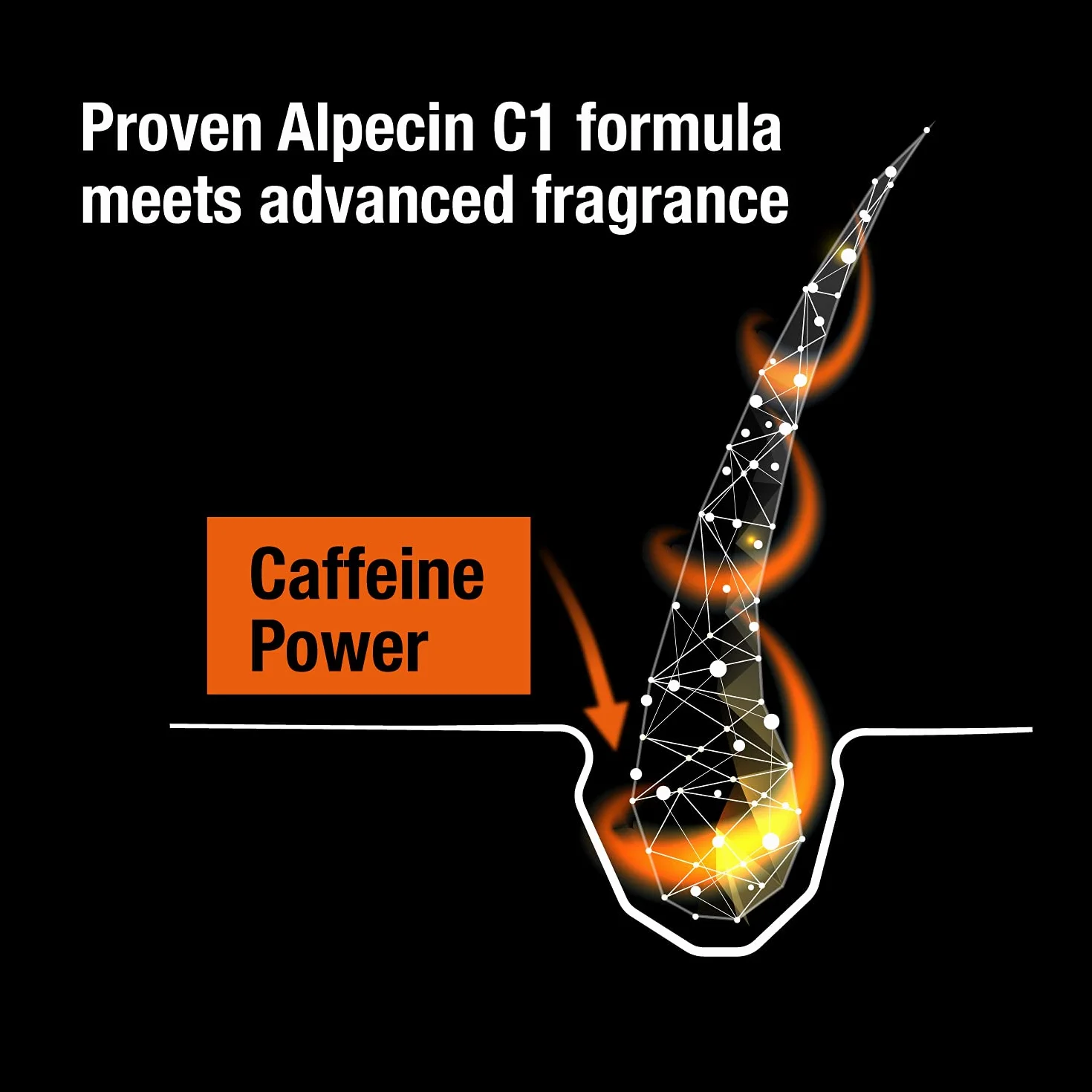 Alpecin Black Szampon kofeinowy z nowym zapachem 1x250ml | Zapobiega i redukuje wypadanie włosów | Pielęgnacja włosów dla mężczyzn Made in Germany
