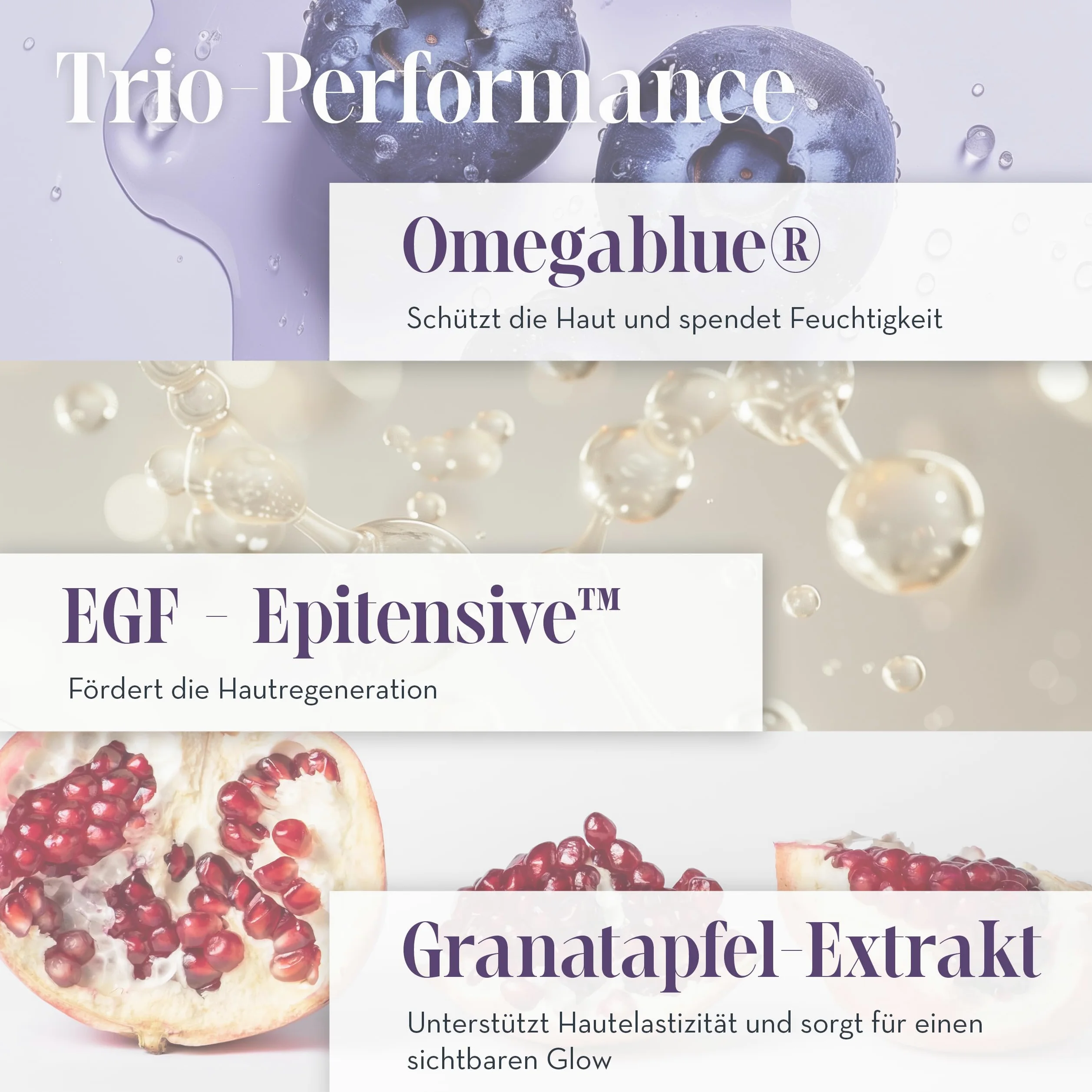 JEAN D'ARCEL Krem przeciwzmarszczkowy do twarzy 24h – CRÈME EGF EFFET Intense 50 ml – wzmacnia naturalną ochronę skóry – poprawia jędrność skóry – wspomaga elastyczność