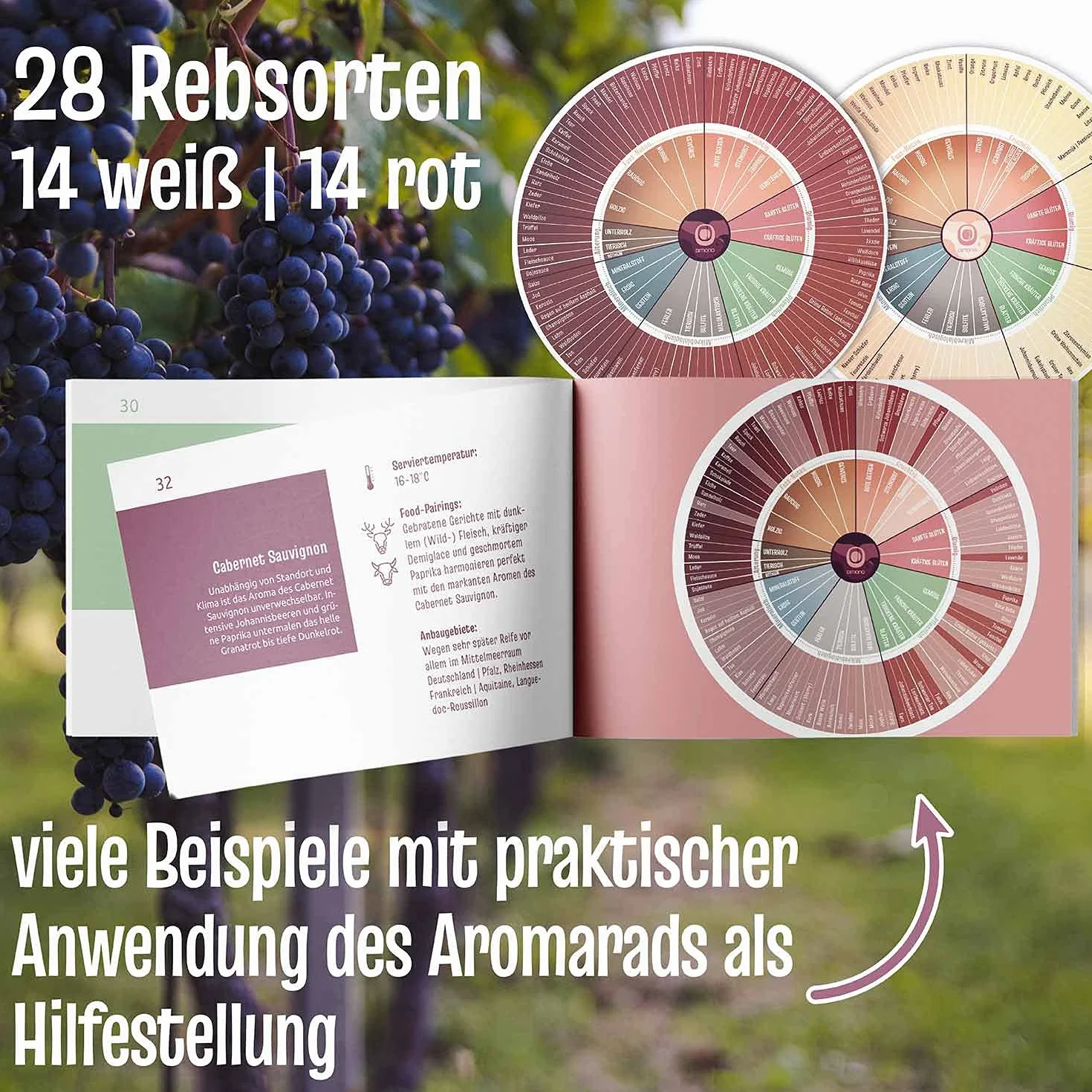 Koło smakowe do wina Deluxe – identyfikacja aromatów dla degustatorów i sommelierów (WERSJA NIEMIECKA)