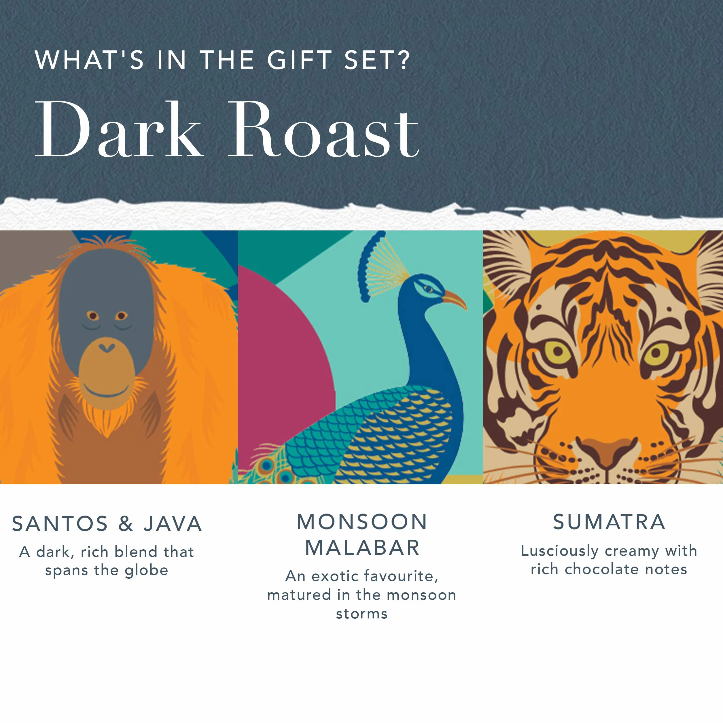 Whittard of Chelsea - Coffret Cadeau Cafés du Monde